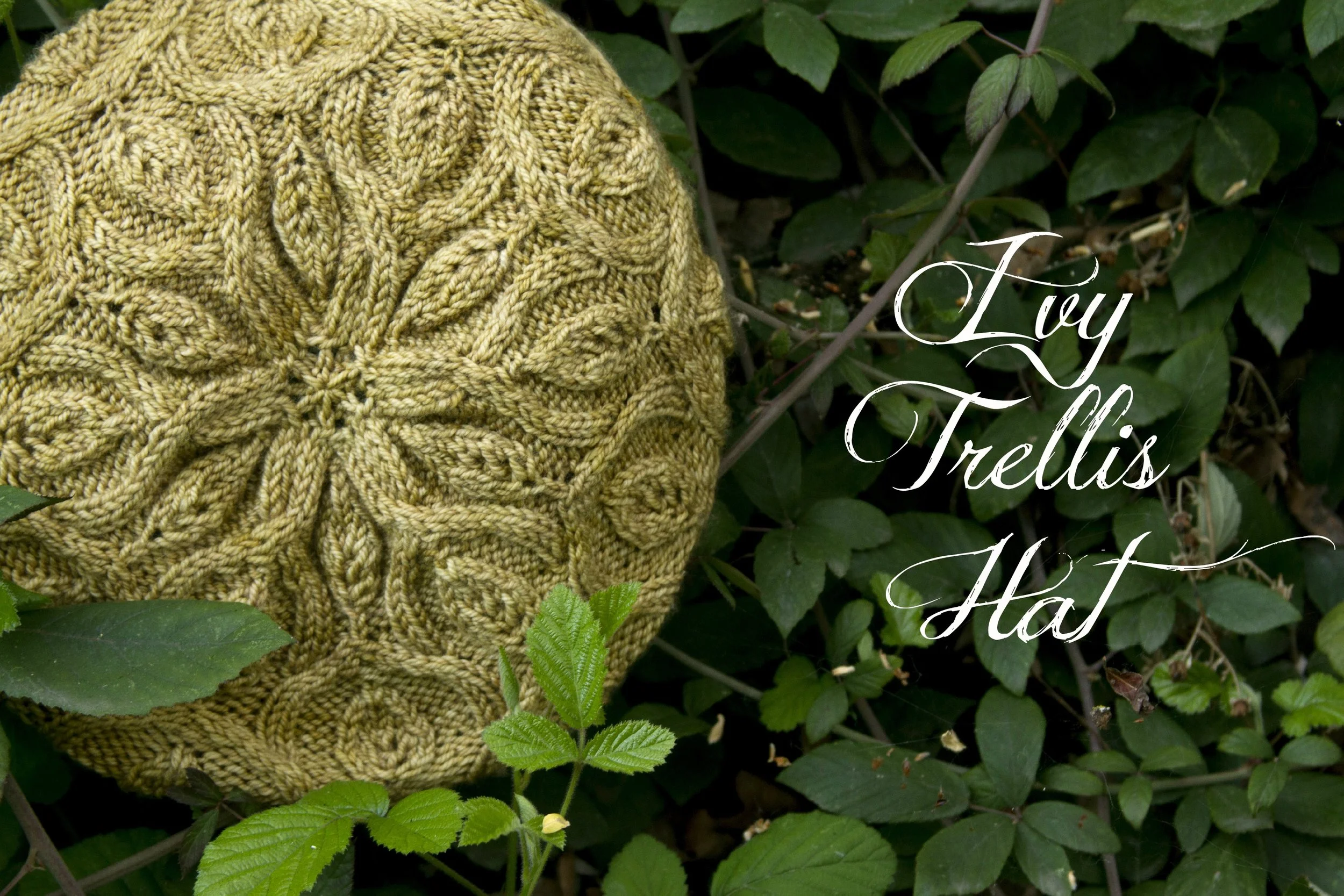Ivy Trellis Hat title.jpg