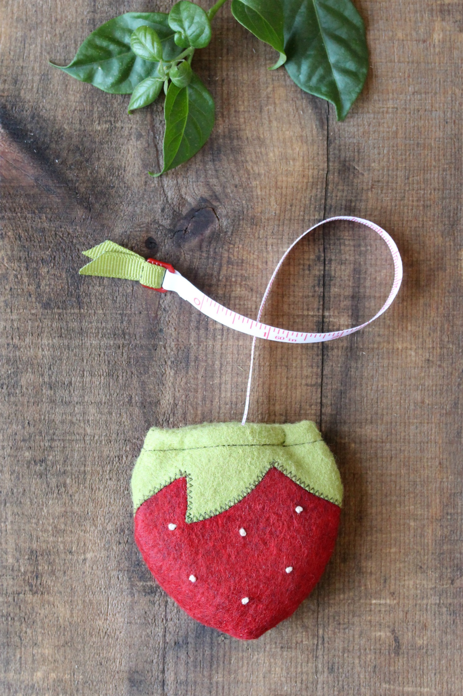 Sweet Berry Tape Measure.jpg