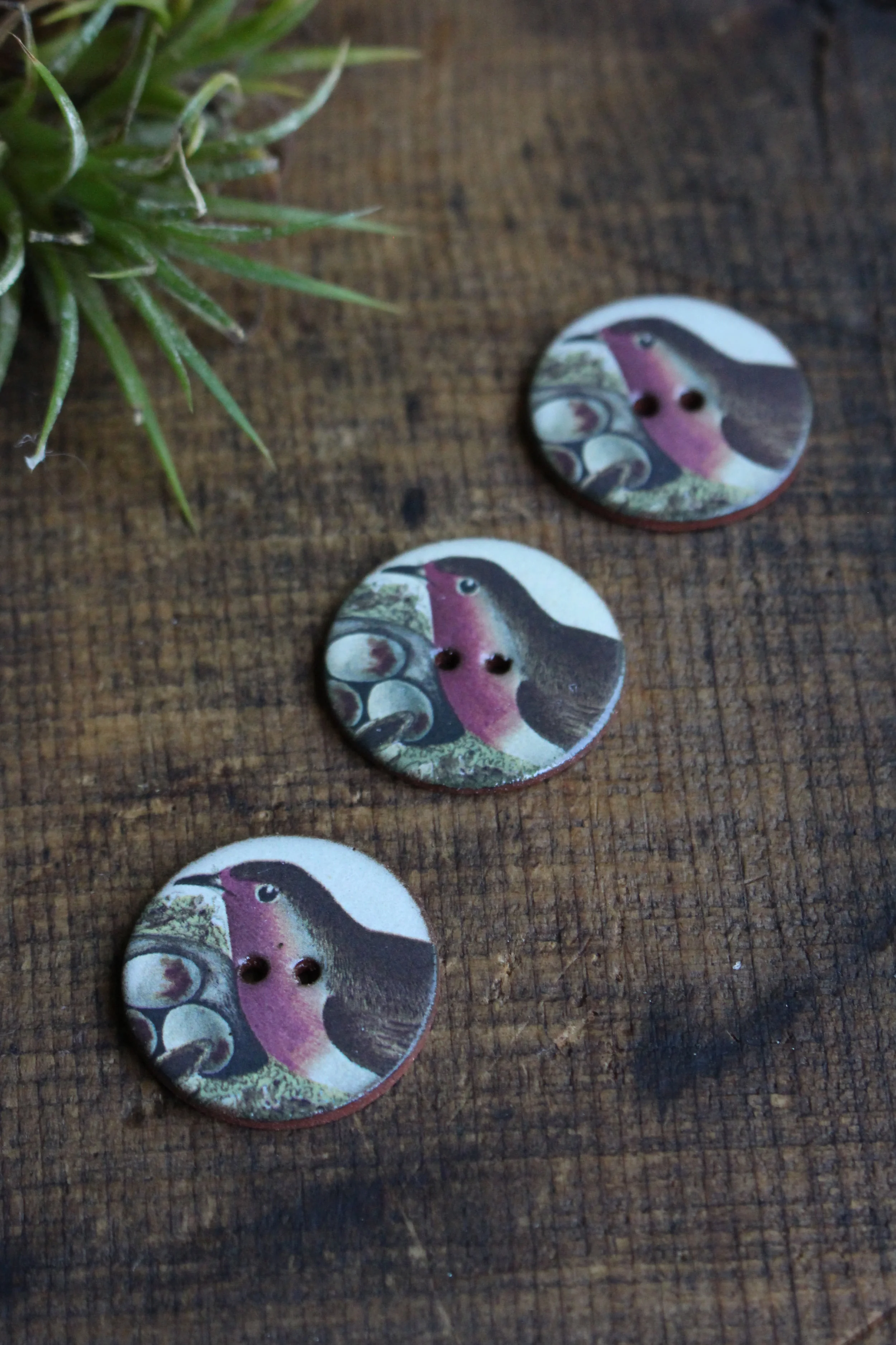 bird with eggs buttons.jpg