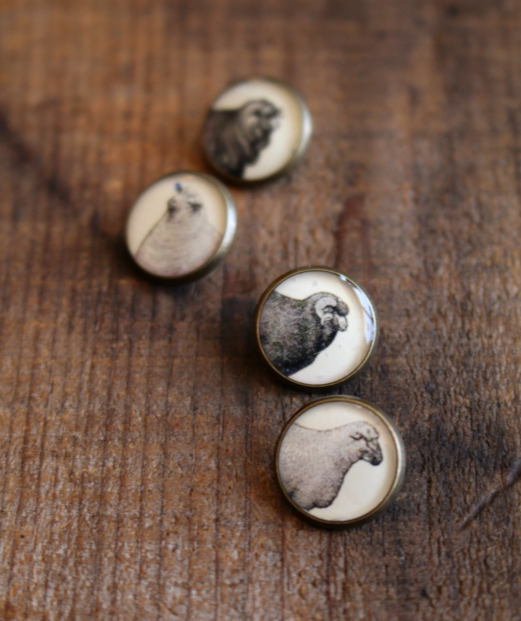 Sheep Buttons 1.jpg