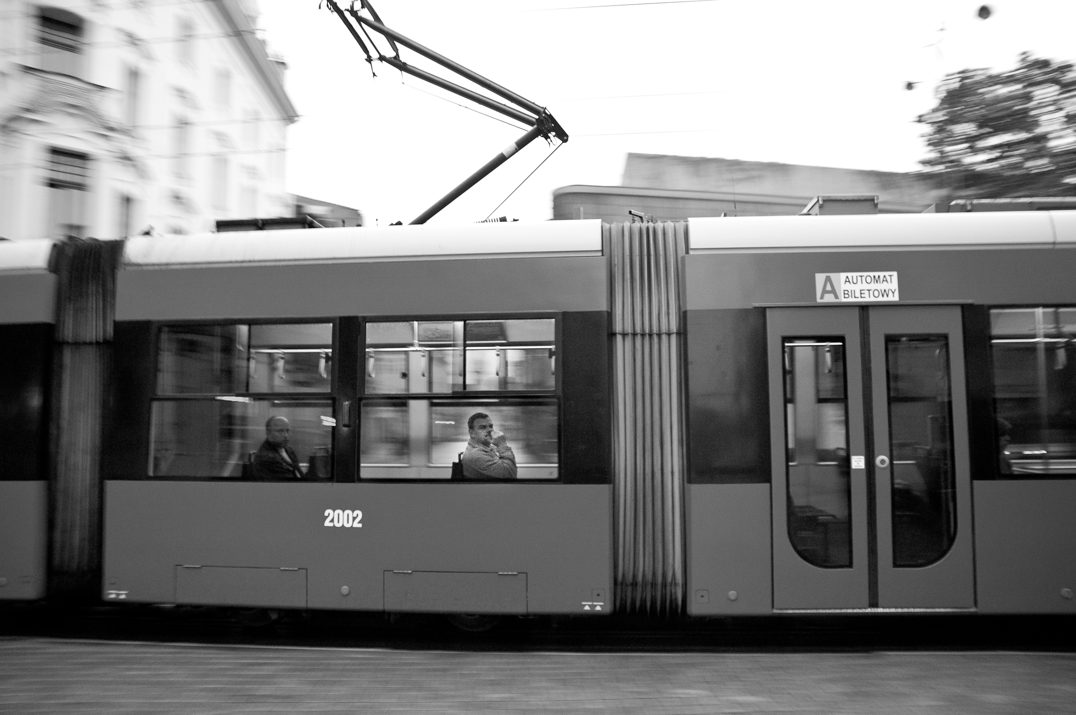 IMGP6237-Edit-2.jpg