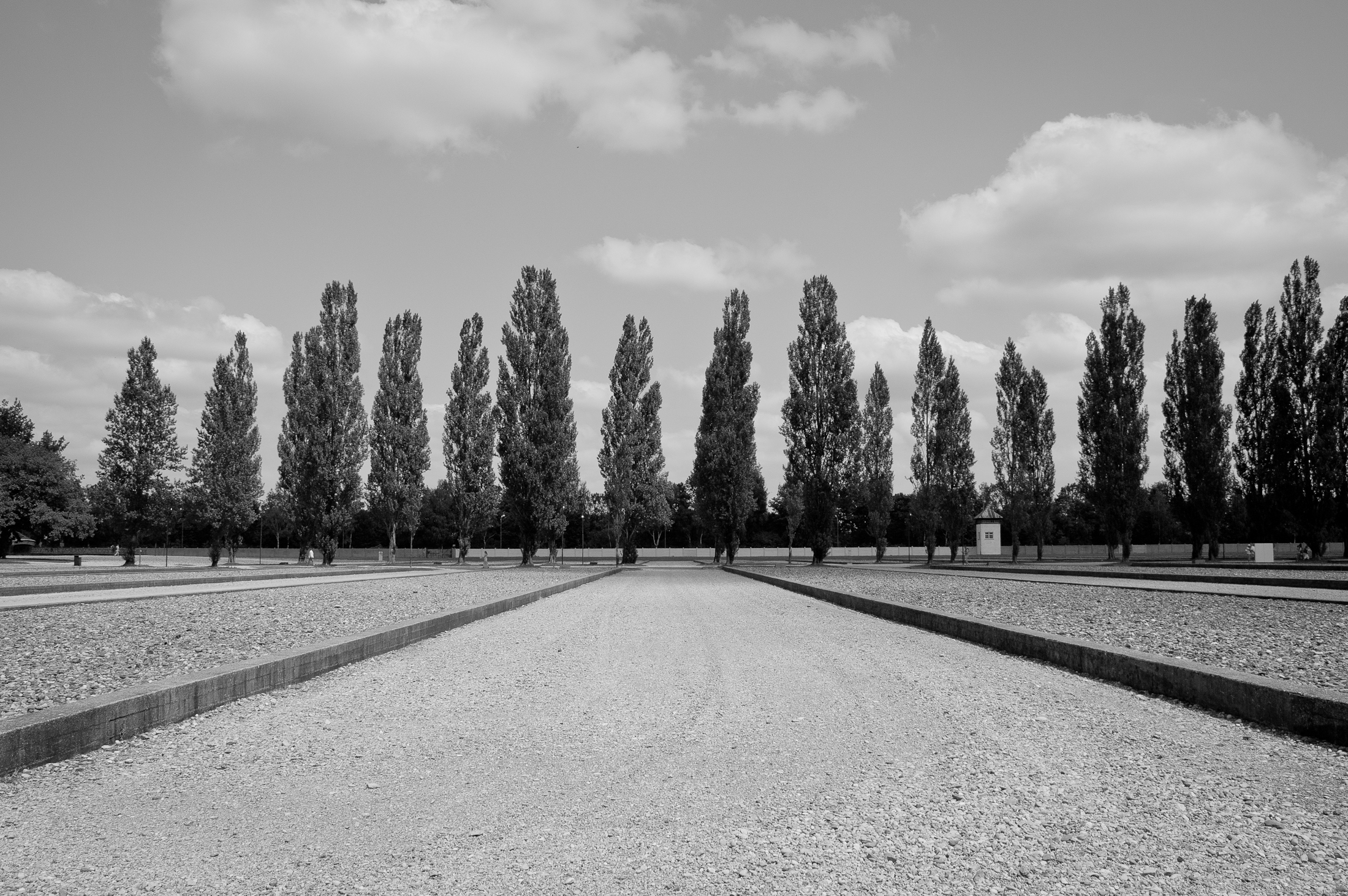 IMGP7879.jpg