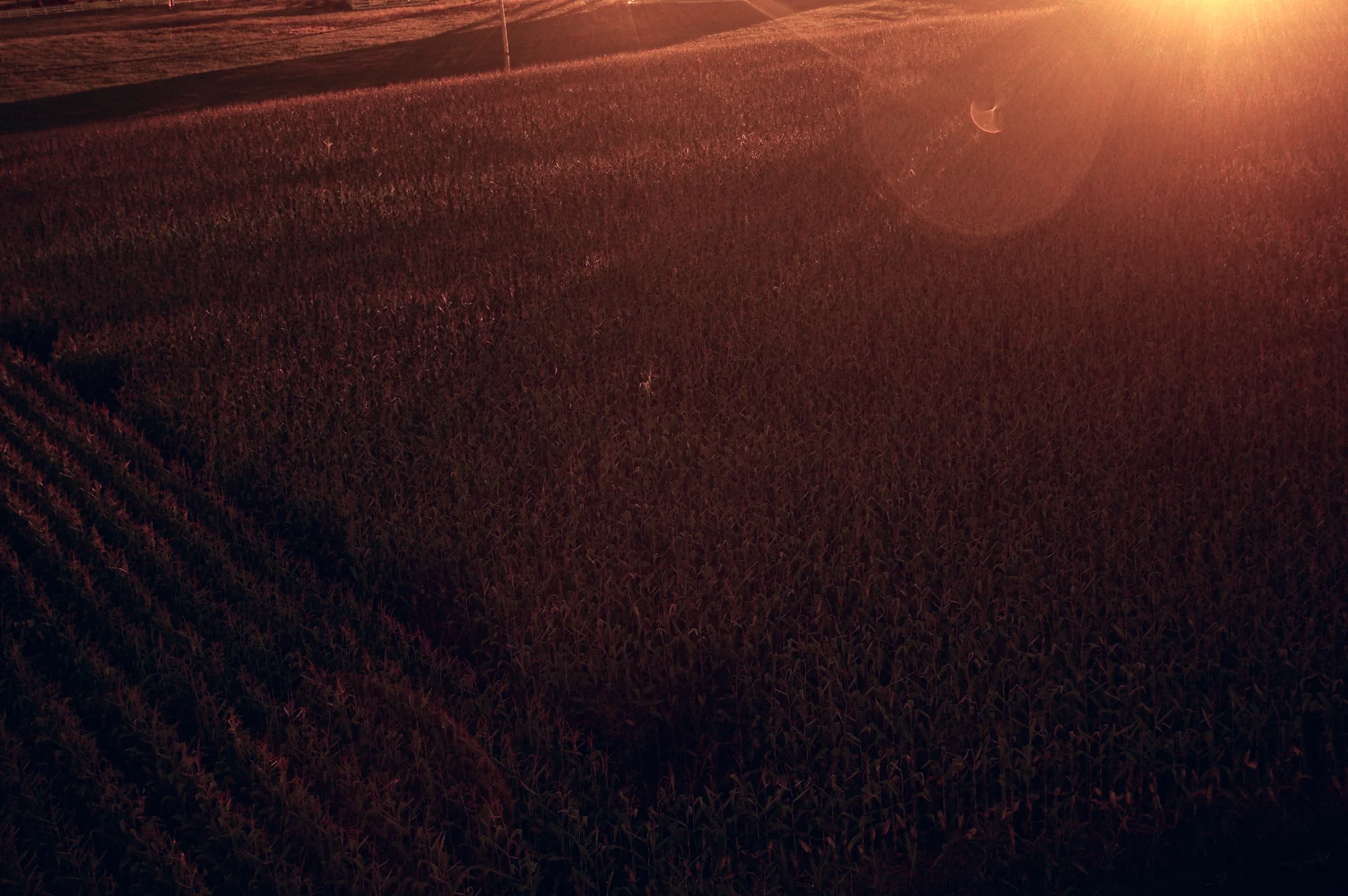 Landscapes  018.jpg