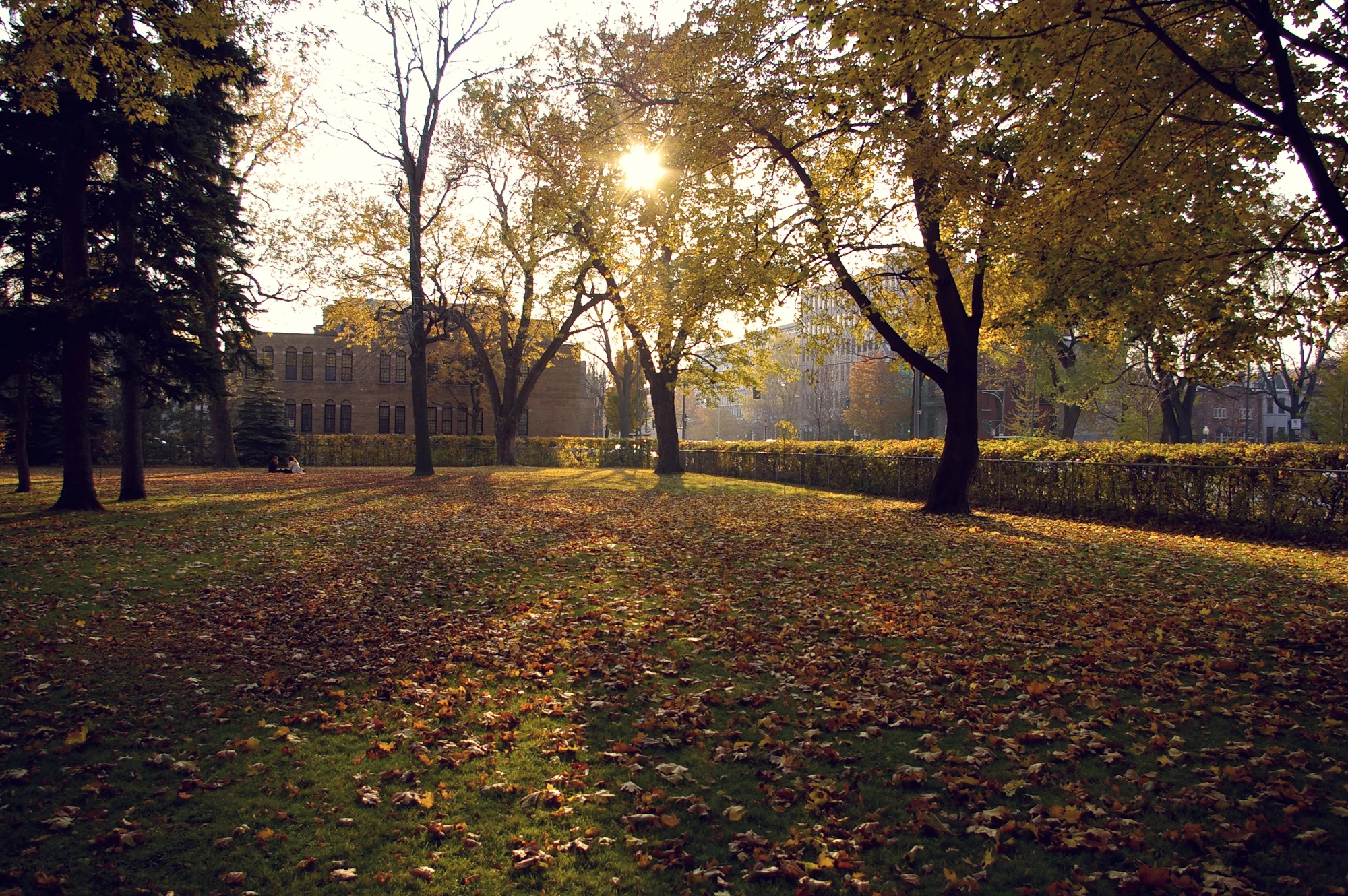 Landscapes  009.jpg