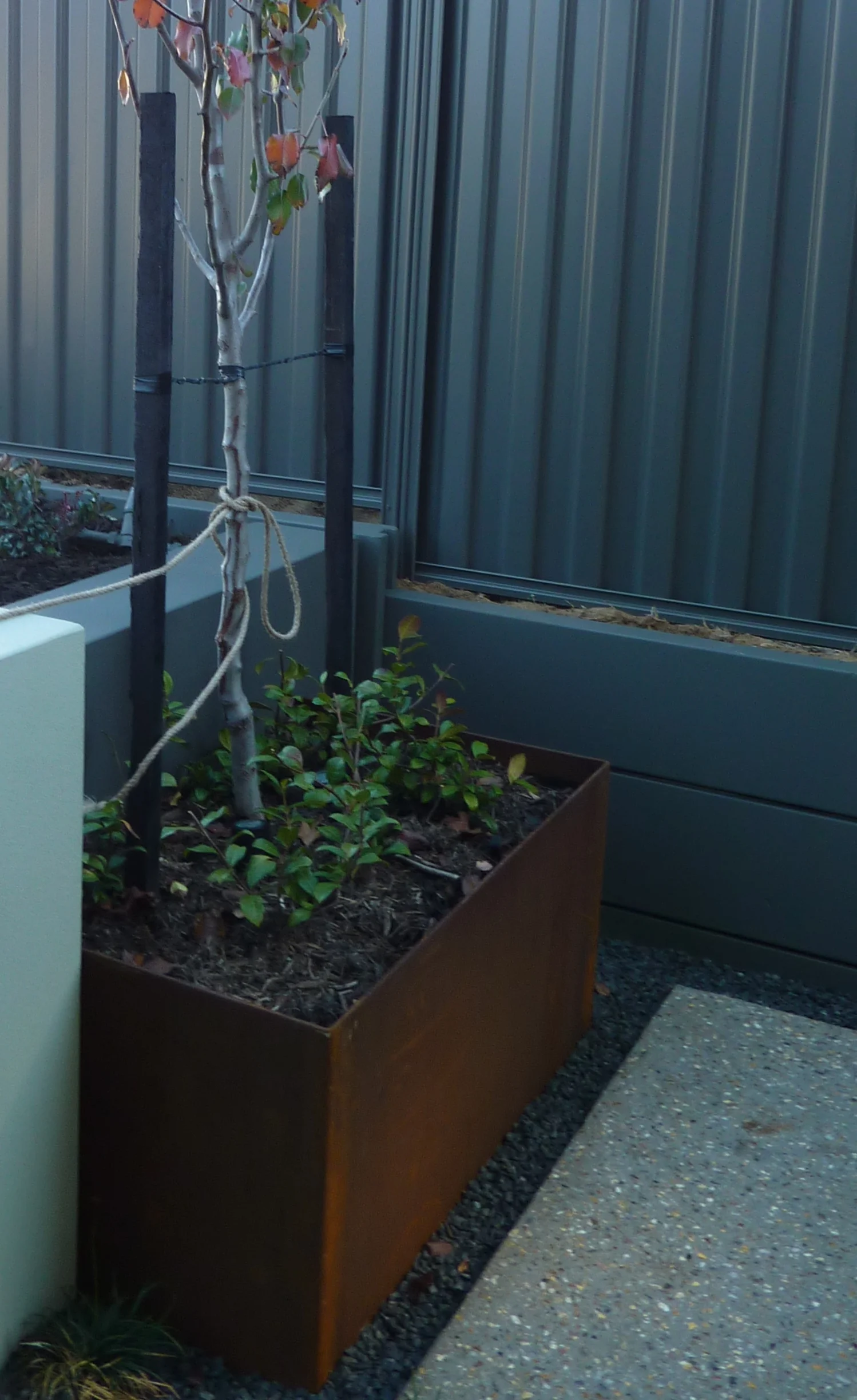 A steel planter that I designed into a TDL garden. This one hides an ugly junction between retaining walls.