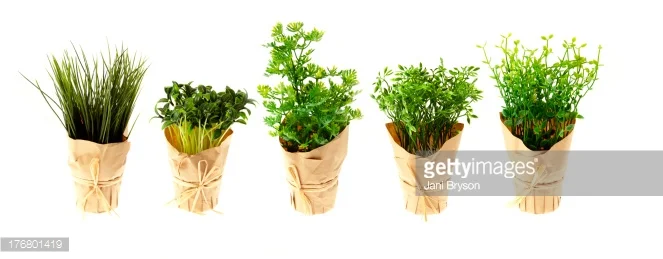 Photo by Jani Bryson/iStock / Getty Images