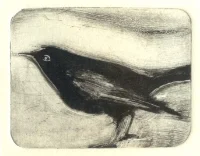 blackbird.jpg