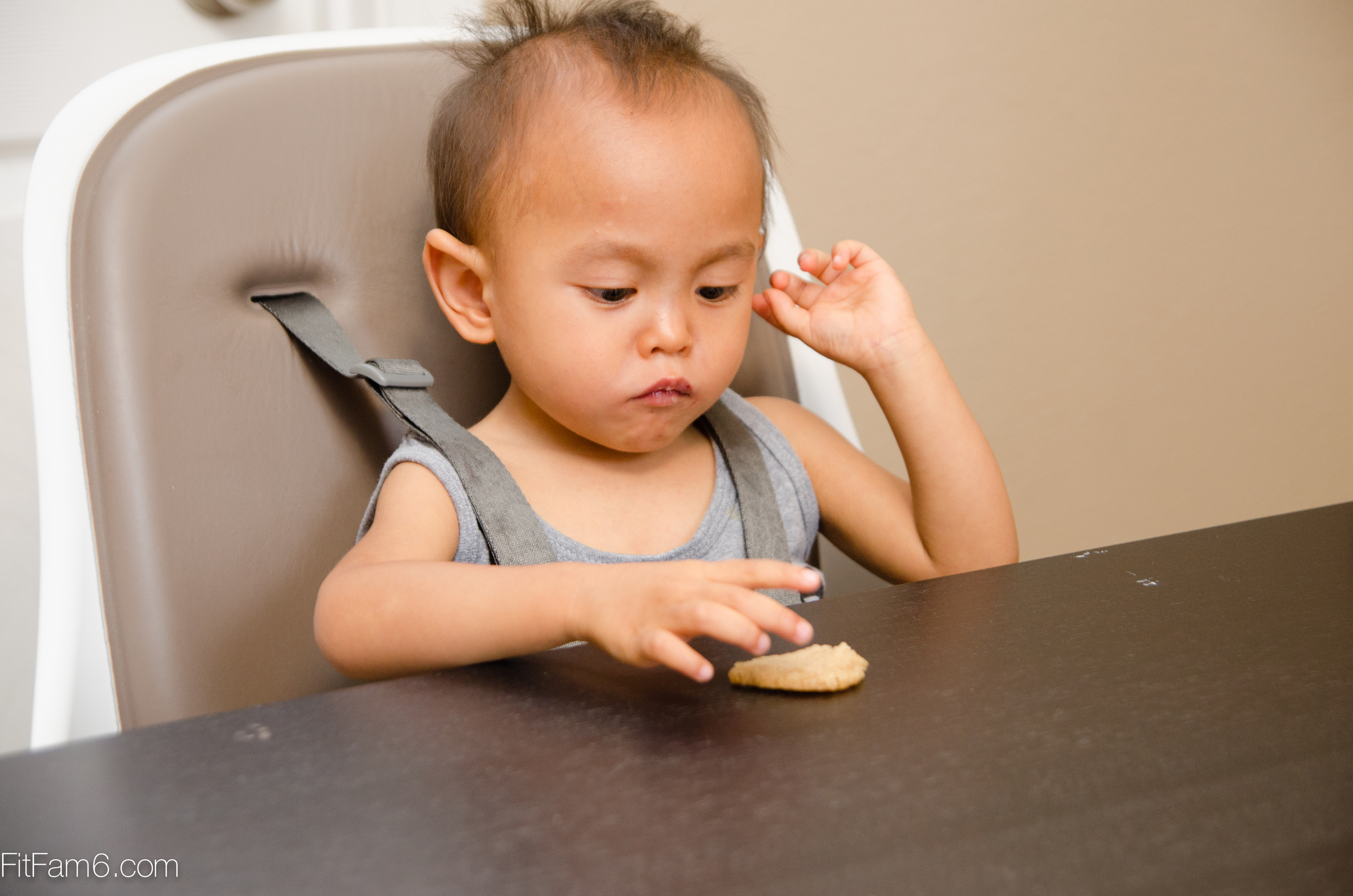 Tofu Tues Choc Chip Cookies-3923.jpg