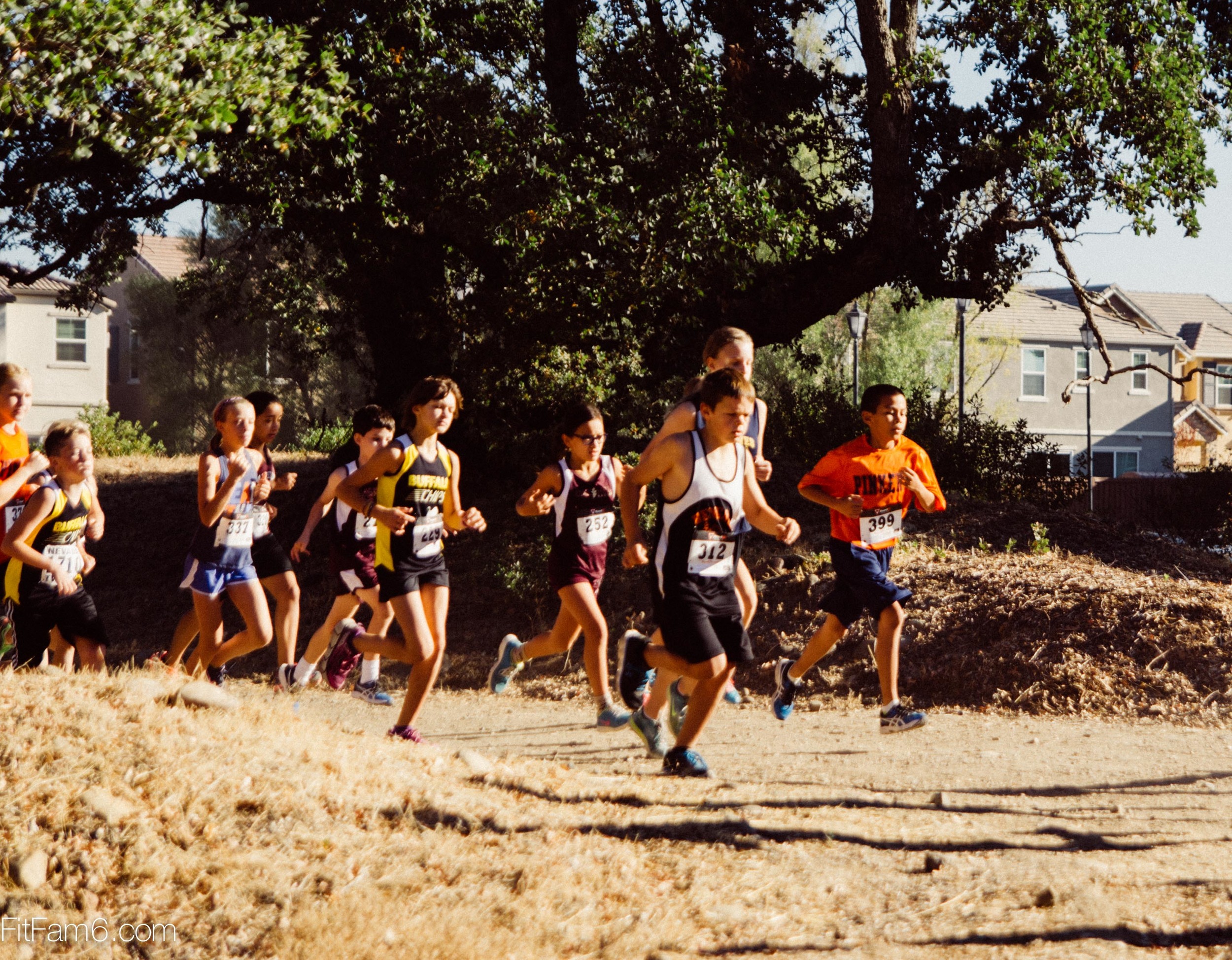 GV XC meet-2.jpg