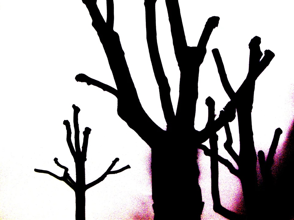  LANDSCAPE III&nbsp; &gt; PLATANES &lt;  MANNHEIM 2010 