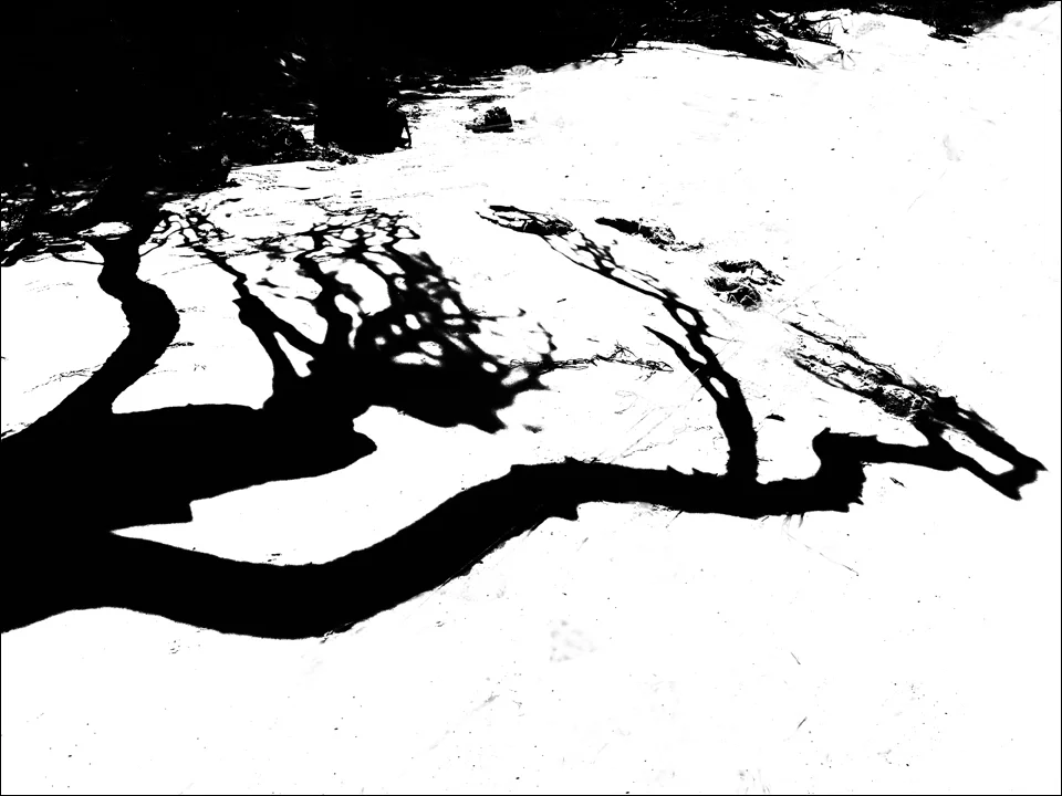 windflüchter schatten 2 sw hk1.jpg