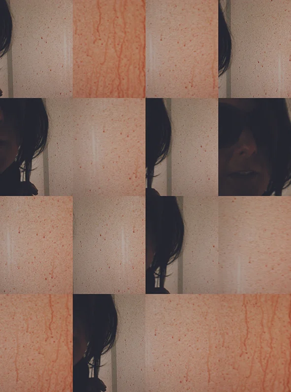    INSIDE - OUTSIDE &gt; SHADOWS &lt;      POLY-IMAGES COLOUR 2008   