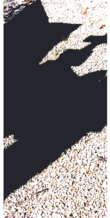    TRI-LOGY &gt; CROSSES &lt;      BARJAC 2008   