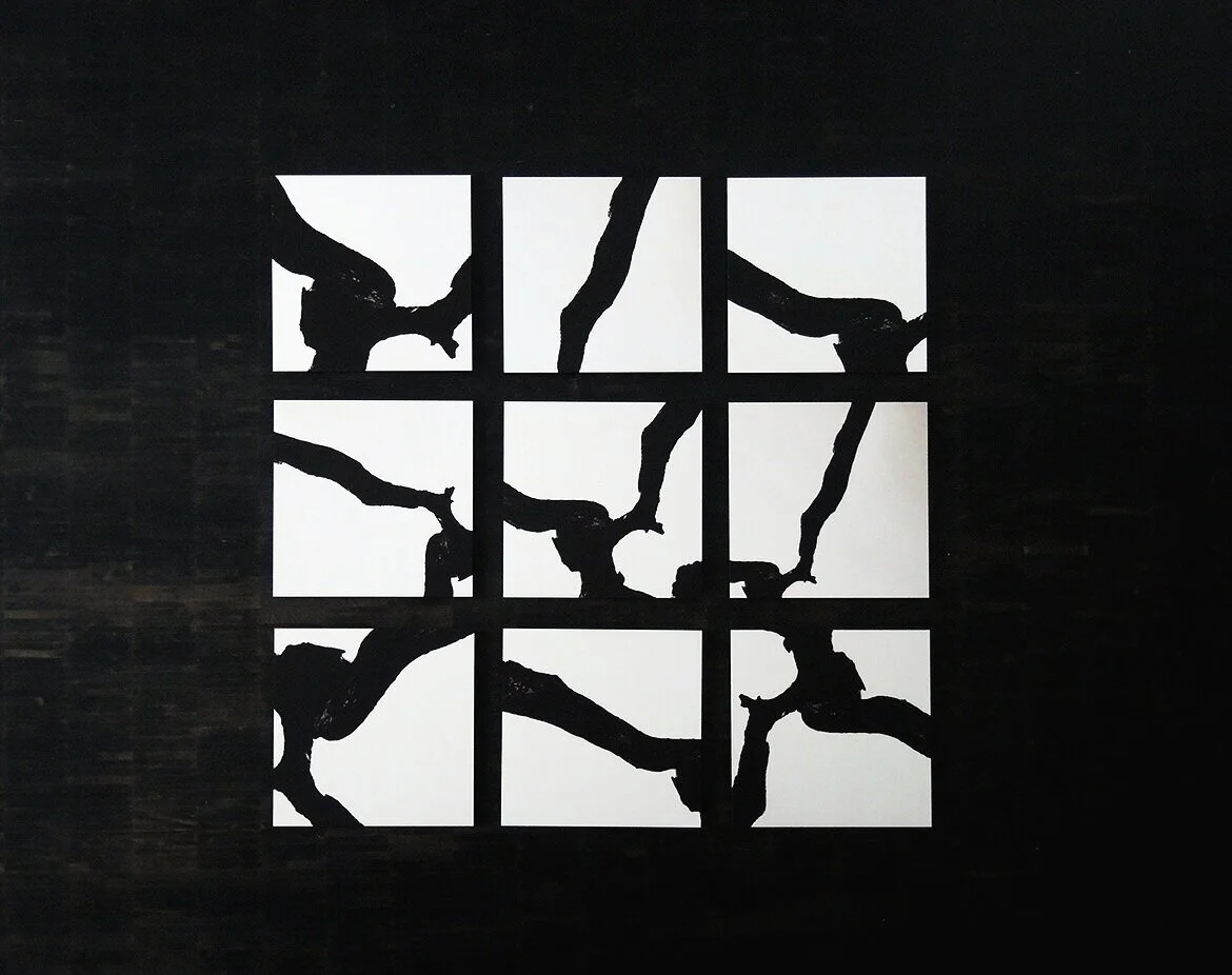  &gt; CALLIGRAPHY OF NATURE &lt;  DARSS 2020, SERIES of 9 , SIZE TOTAL 166 x 166 