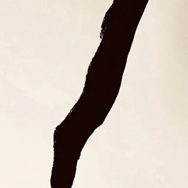  &gt; CALLIGRAPHY OF NATURE PART II &lt;  DARSS 2020 