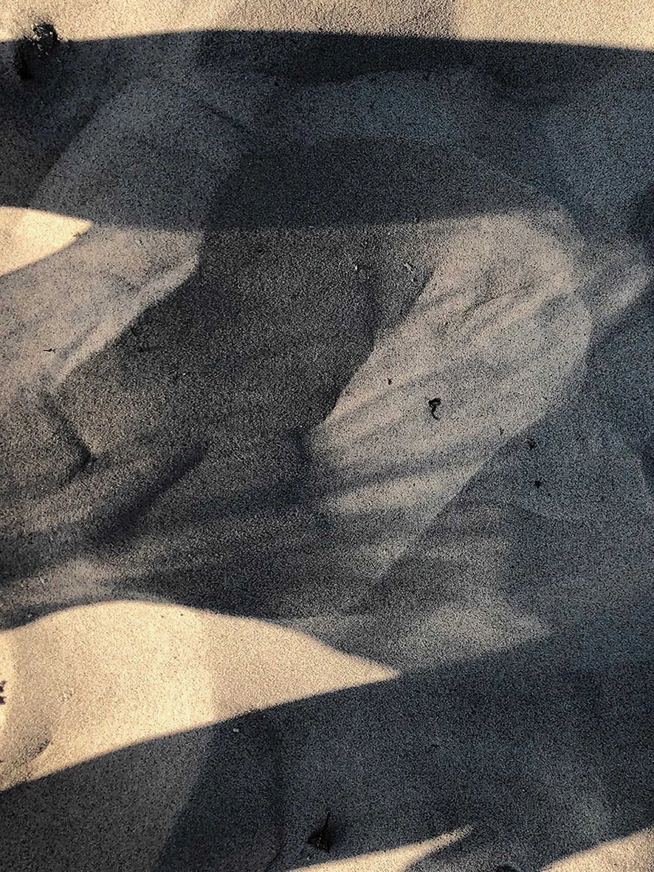  &gt; CALLIGRAPHY OF A SHADOW I &lt;  DARSS 2020 