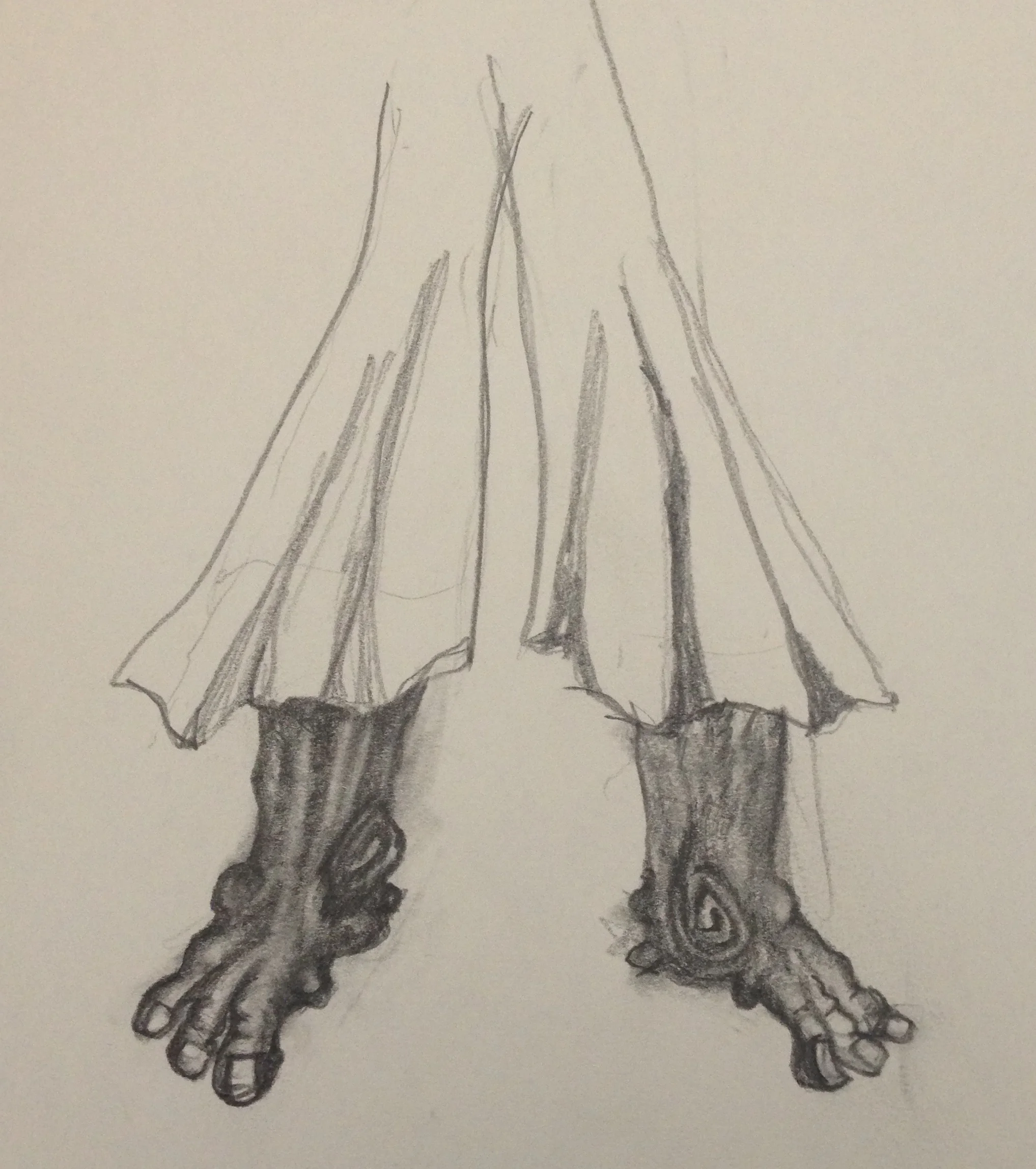 hairy feet sketch.jpeg