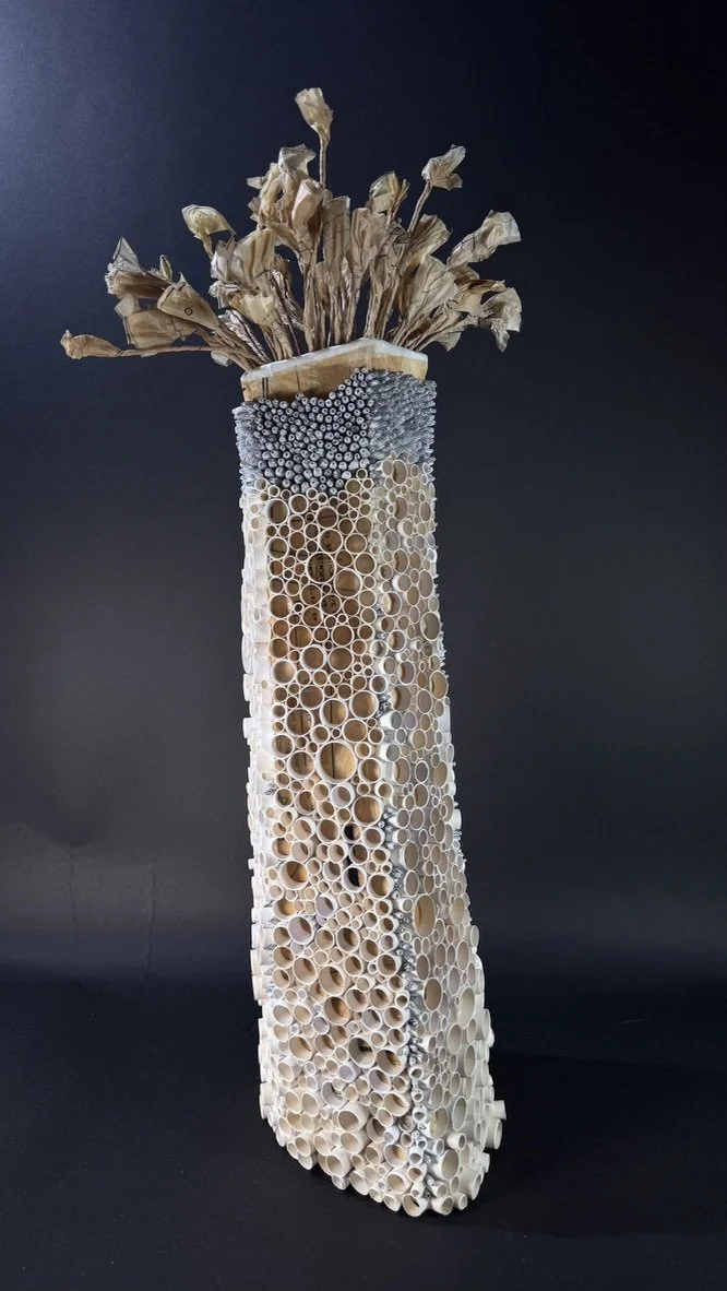 Anemone X - 24" x 10" x 6"