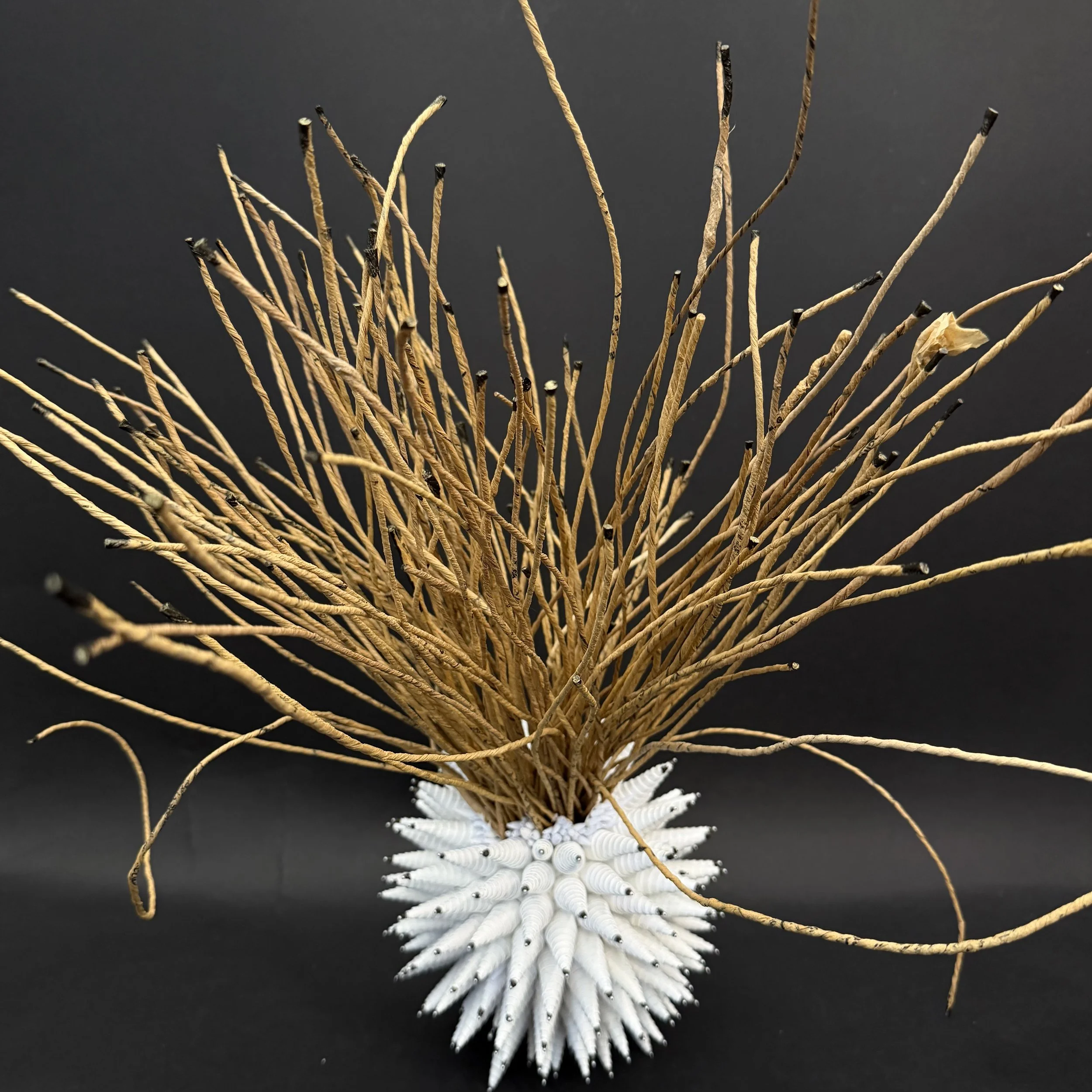 Anemone XXIII - 18" x 16" x 16" 