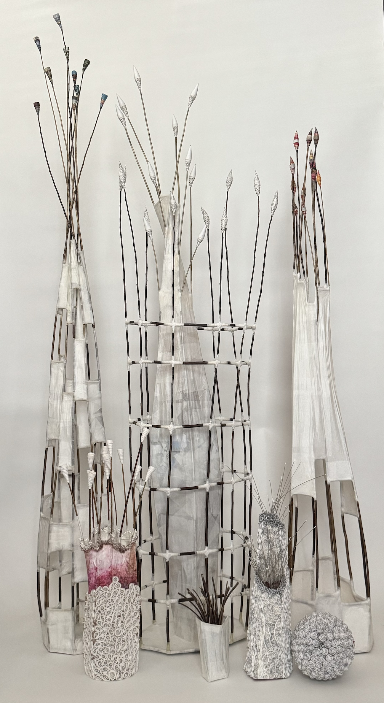 Coral Installation - How they are intended to be - $8,025