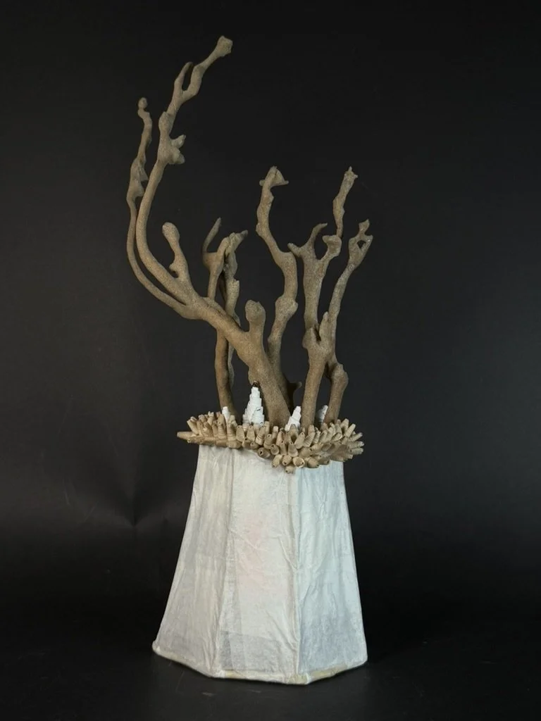 Coral XXVIII - 13’ x 7” x 6” $320