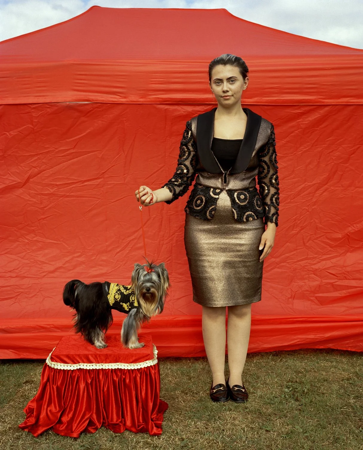  Doggy Style //  Stand aside, cats; dogs are a human’s best friend. We all know it. Ever since the domestic dog evolved from the wolves that latched onto us for our food scraps, 15,000 years ago, we’ve been joined at the heel. There’s no other human-