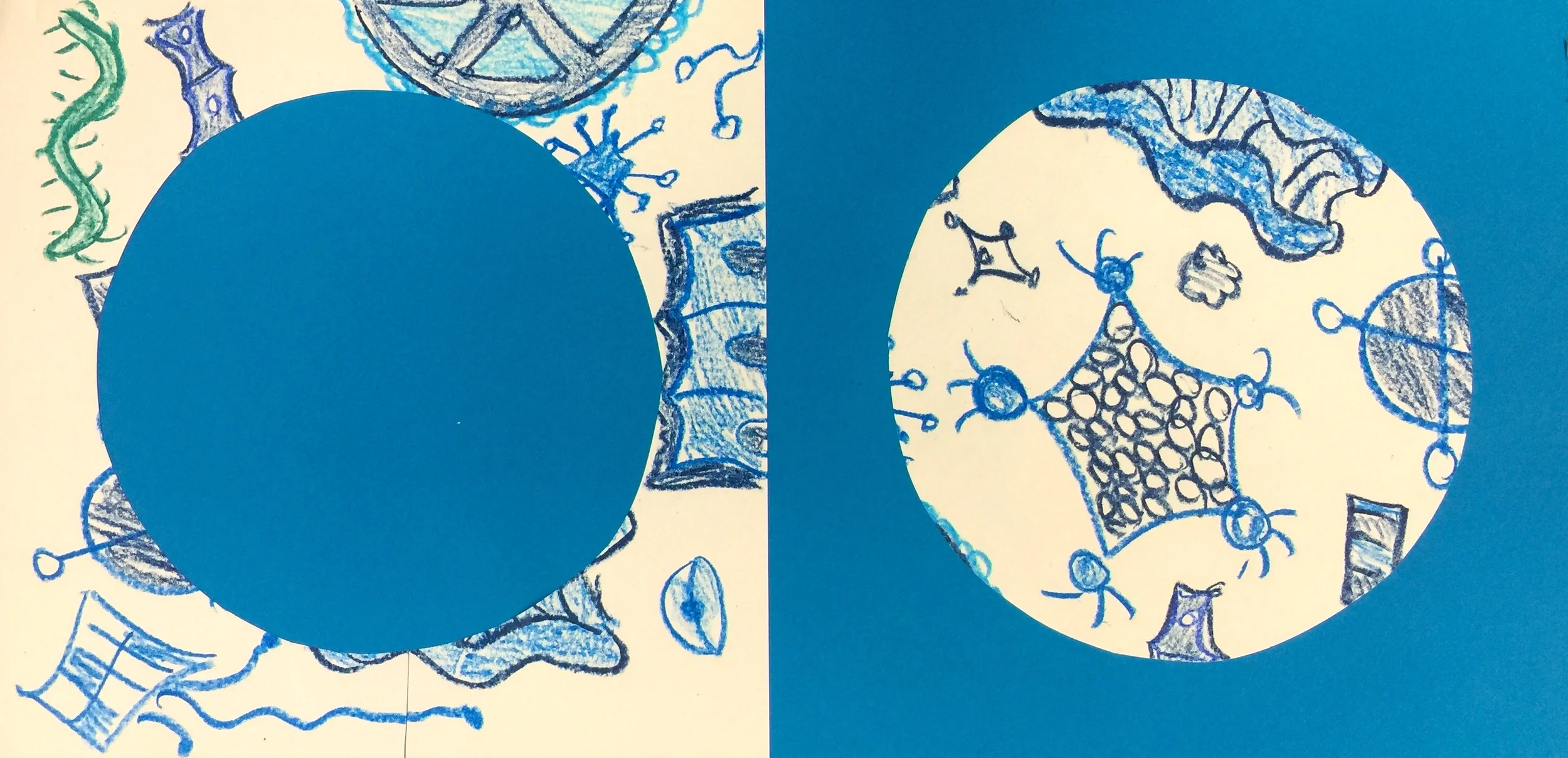 Diatoms and the Diatomist