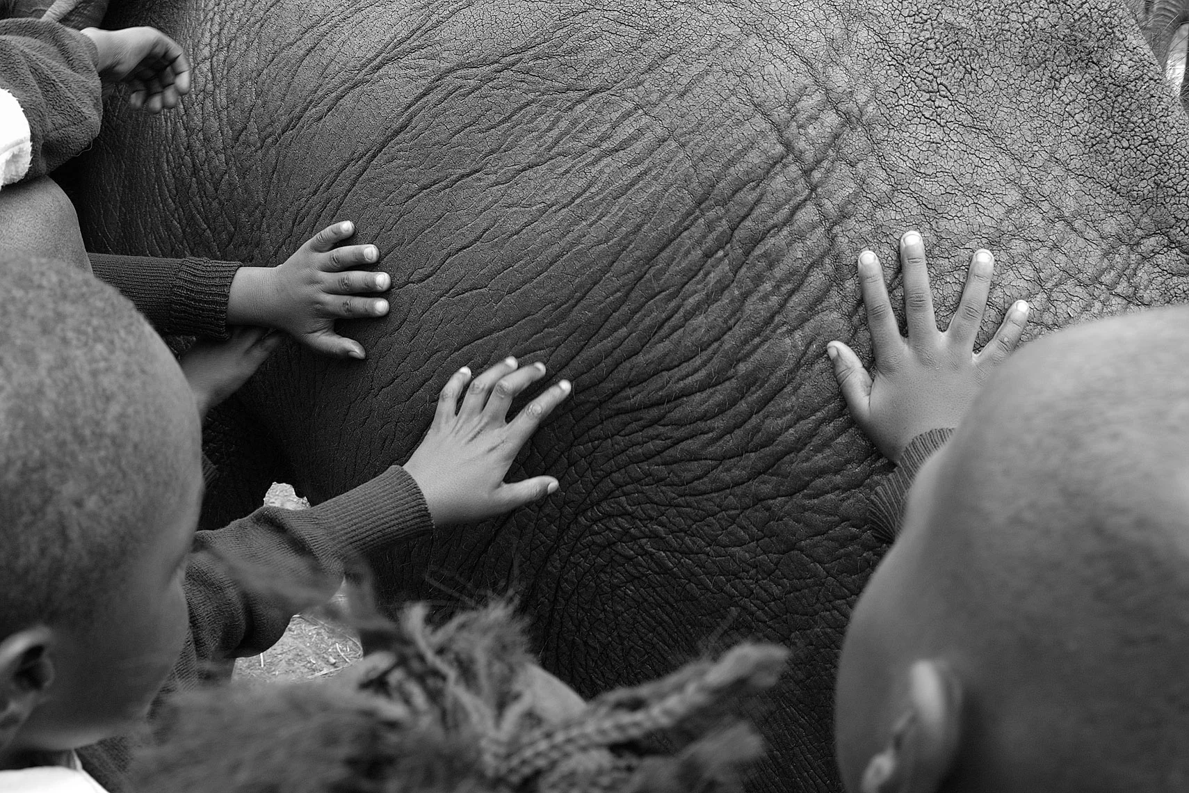 Kids touching an elephant Nairobe, Kenya 2006