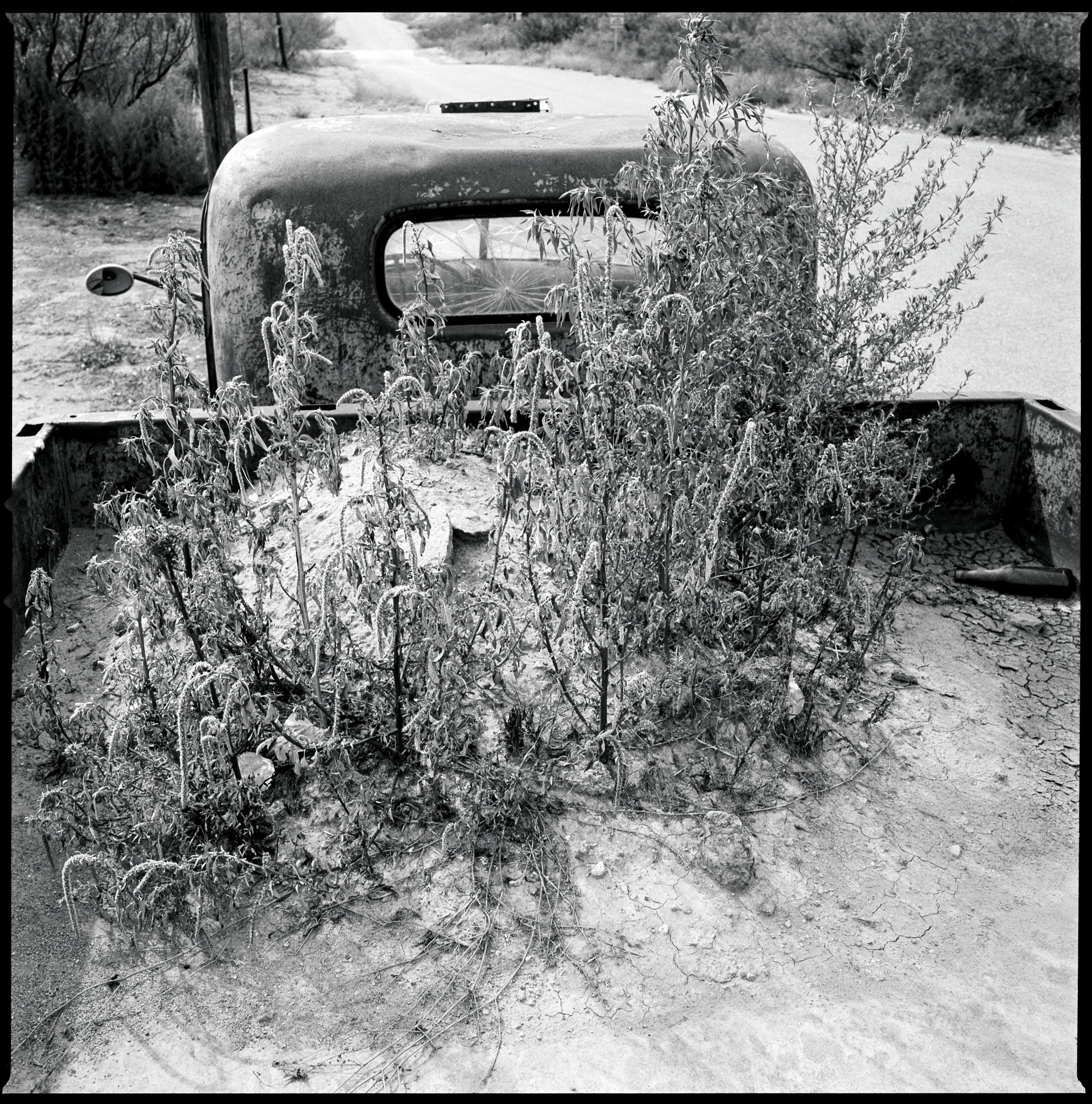 Truck in the side of the road Marfa, Texas 2012 Made with Hasselblad 501c with Kodak Tri-X 400 b&w film