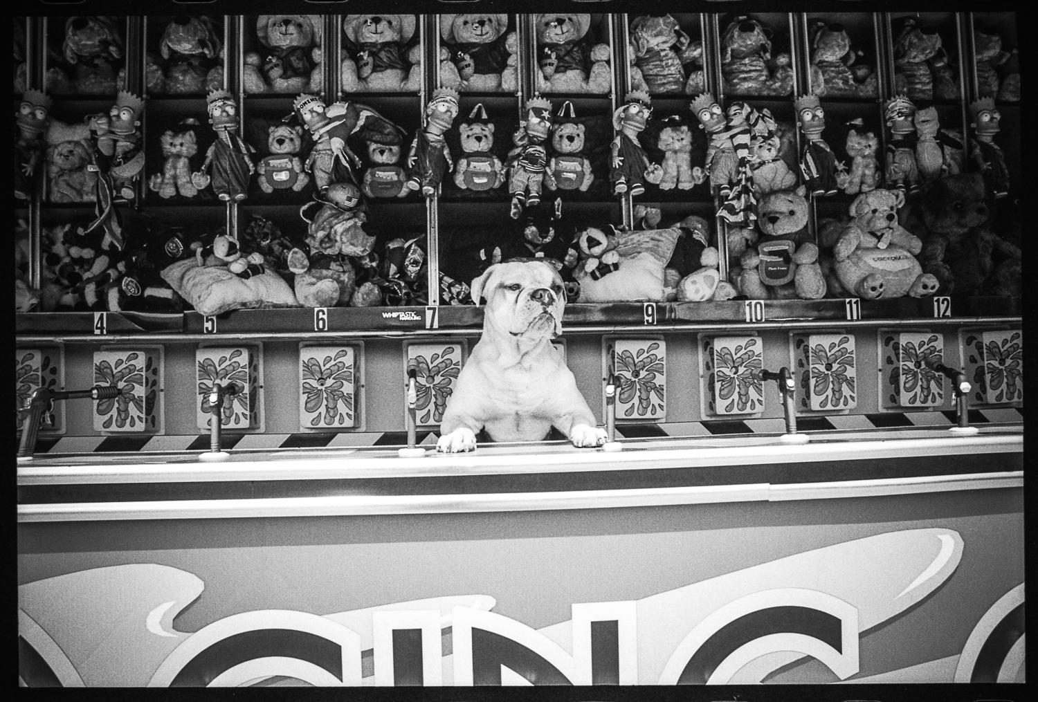  Carny dog Coney Island, NY 2006    3:2  