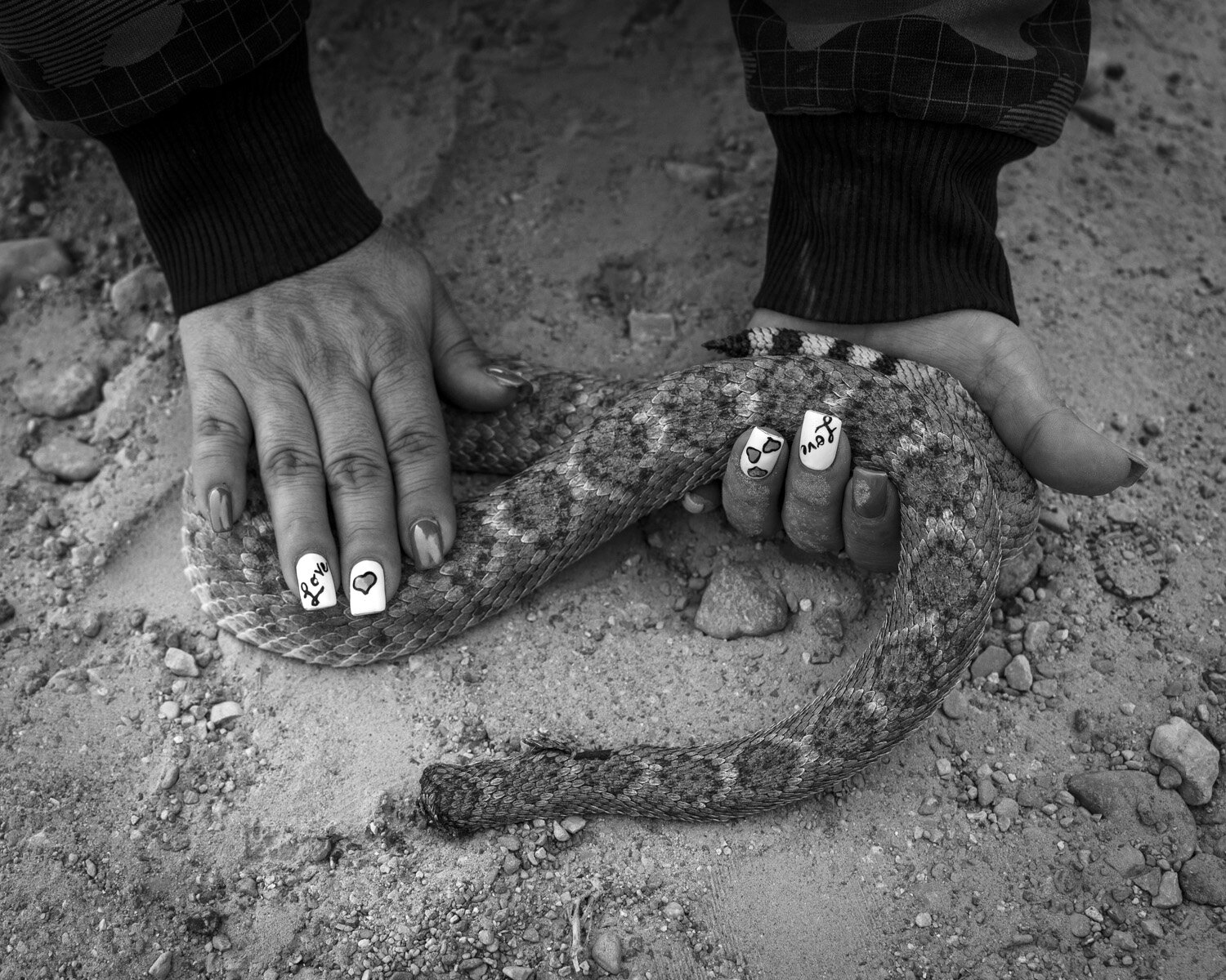  Woman and rattlesnake Ruidosa, Texas 2020    5:4  