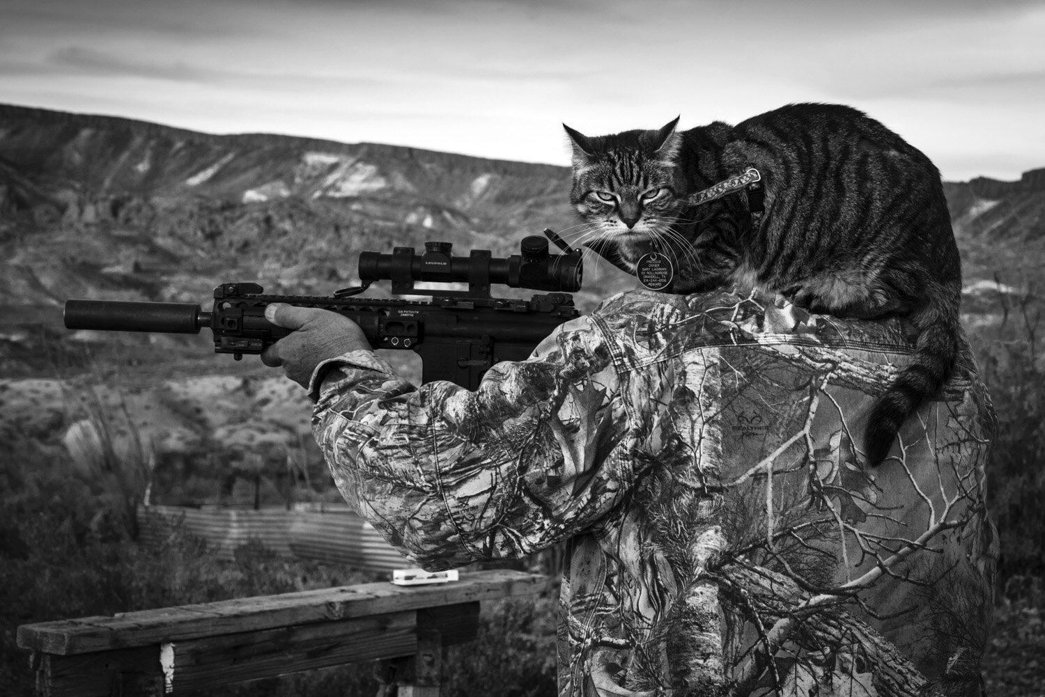  Cat and machine gun Presidio County, Texas 2020    3:2  