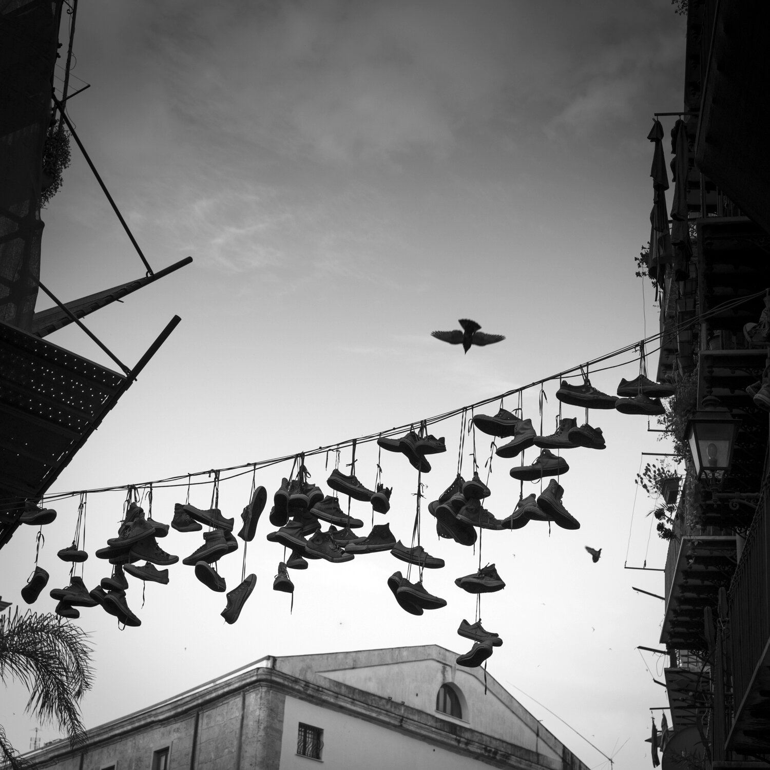   Shoes on line   Palermo, Italy 2019      1:1  