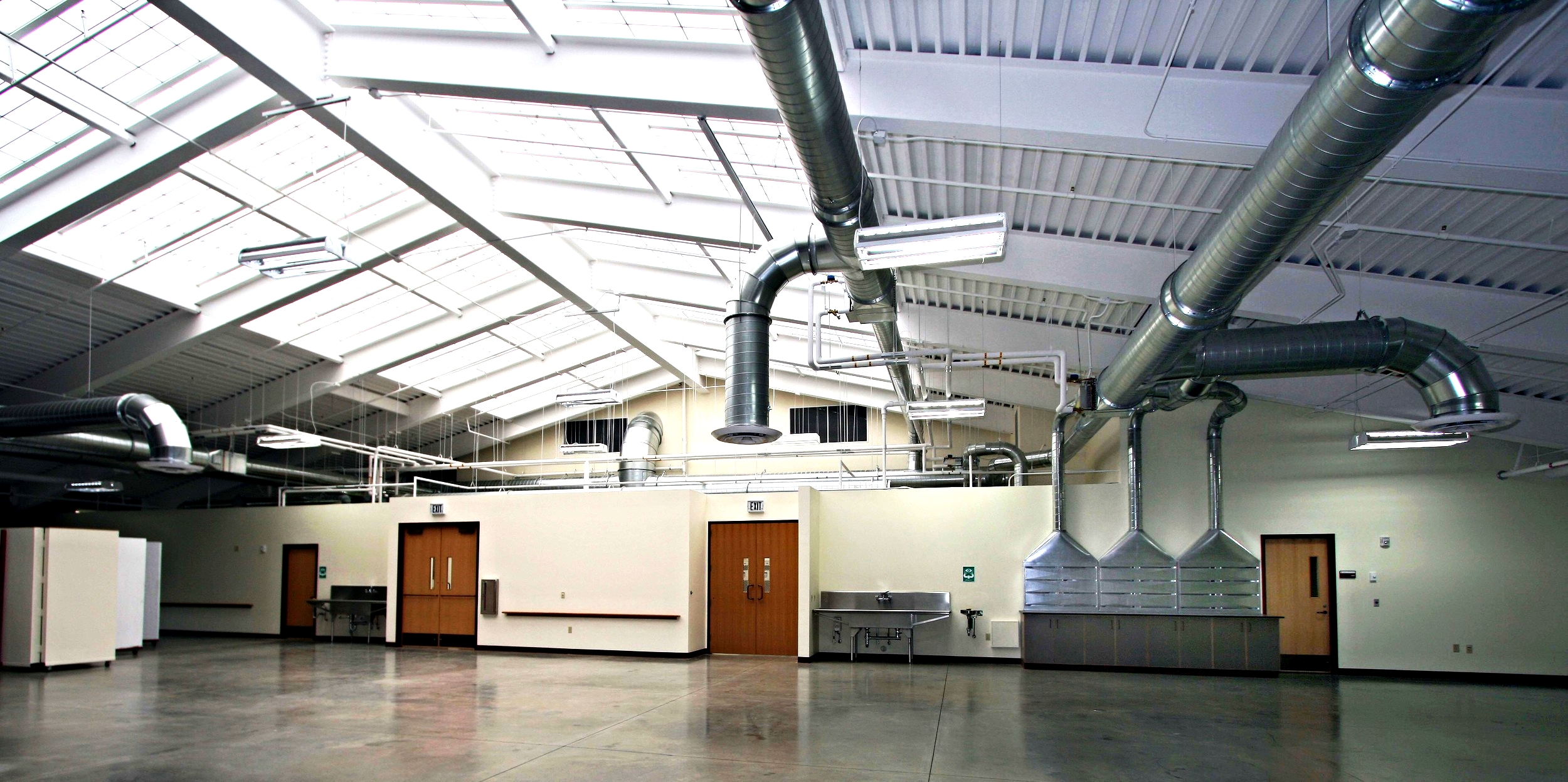 Art Annex interior with fume hood lightened and sharpened1.jpg