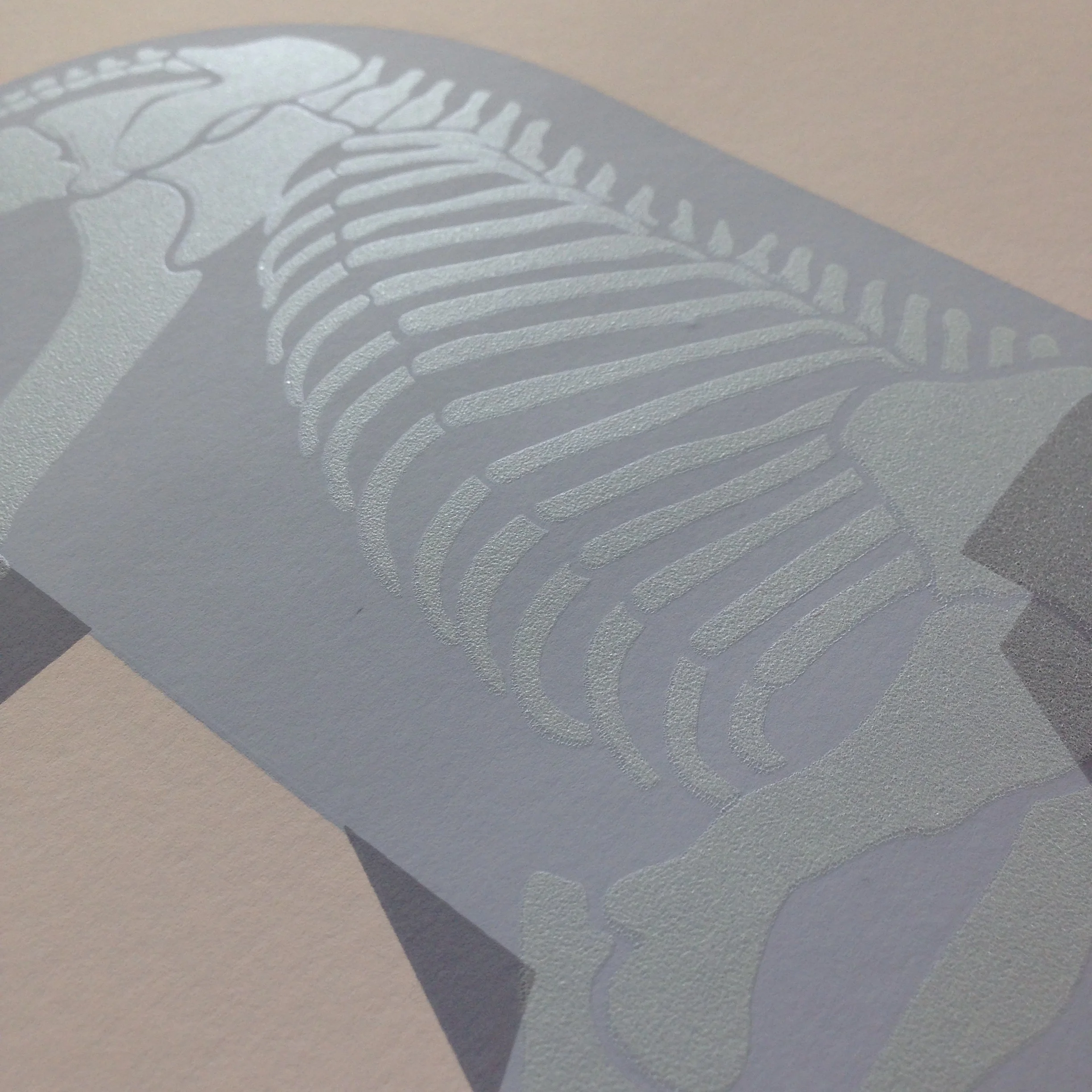 6 Elephant-skeleton-3.jpg