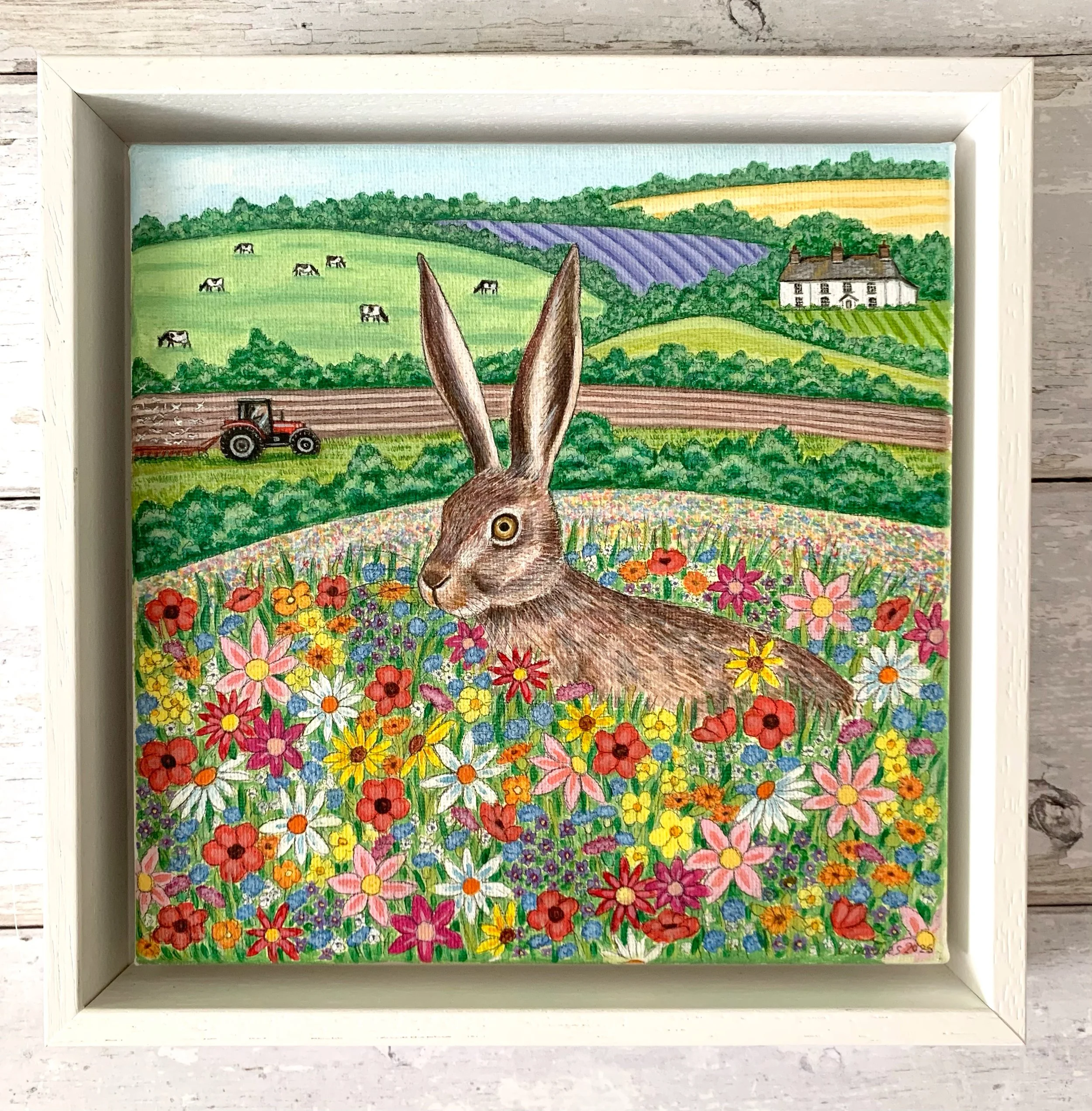 18BD5704-8175-4CAE-9213-AC4B326B4853 4.JPG