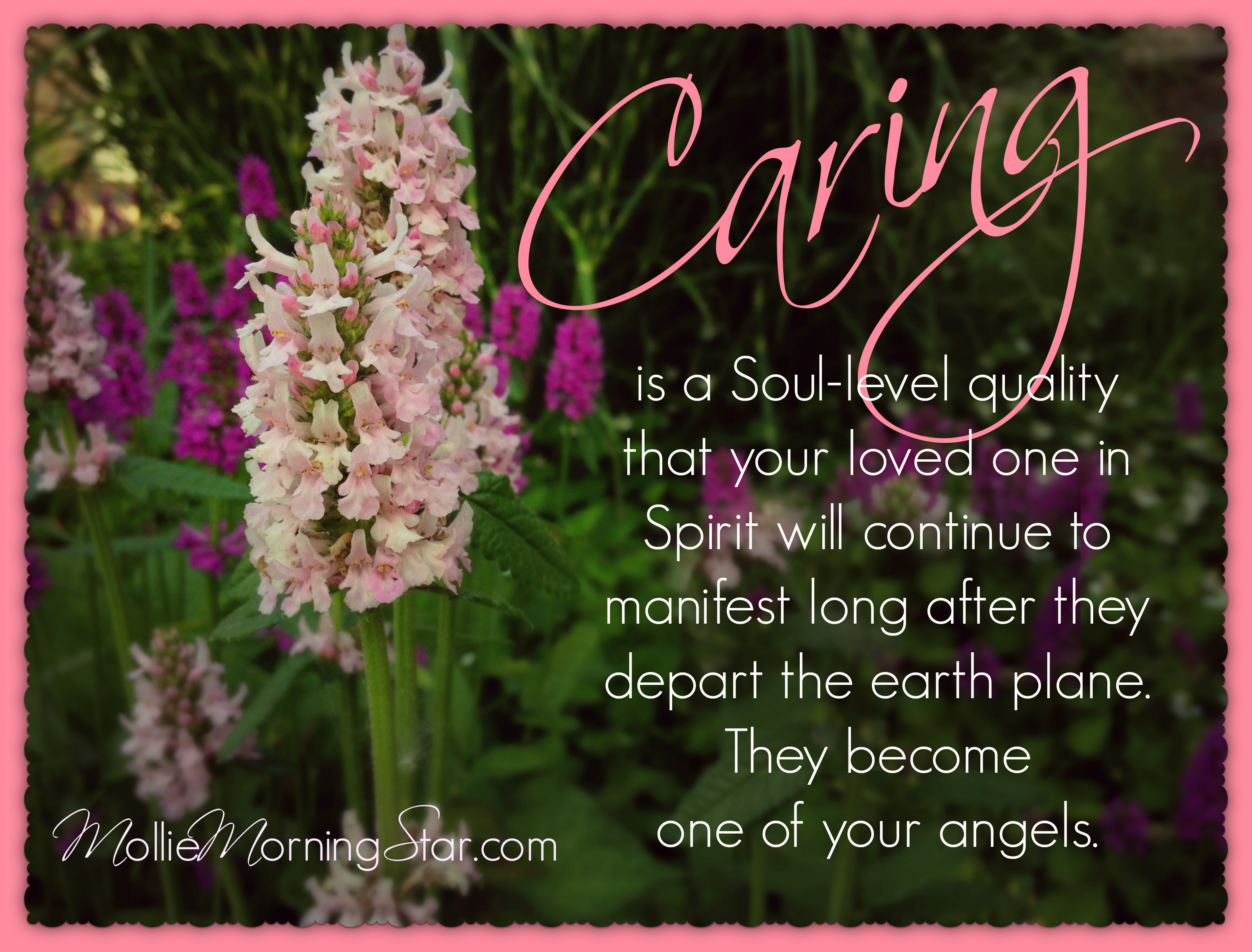 Caring continues, even after life.