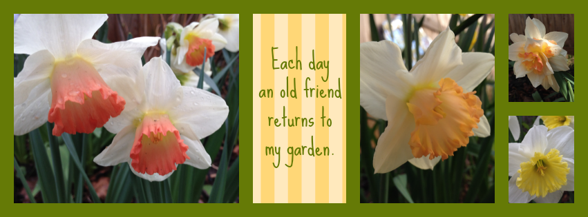 Finding the Strength to Grow