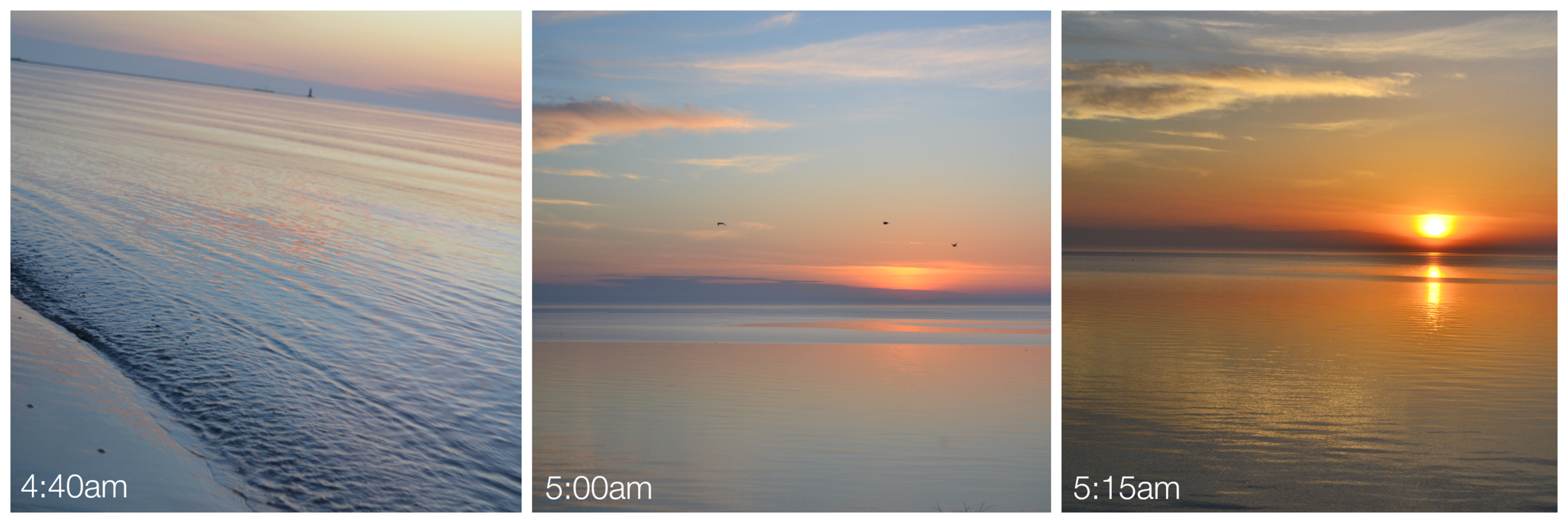 In a matter of moments, even the sunrise is over.