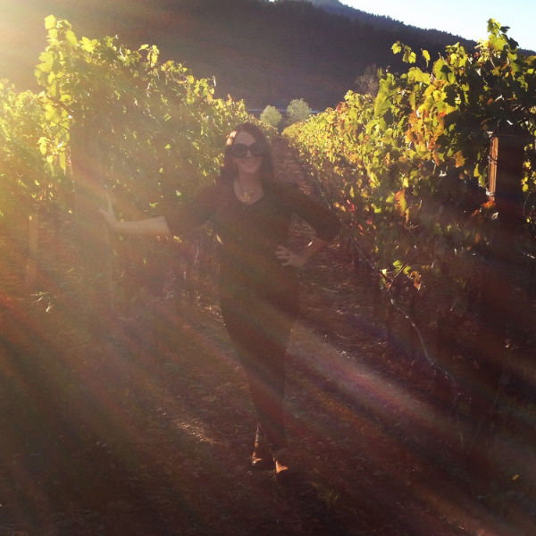 At Charles Krug Vineyard, California. 