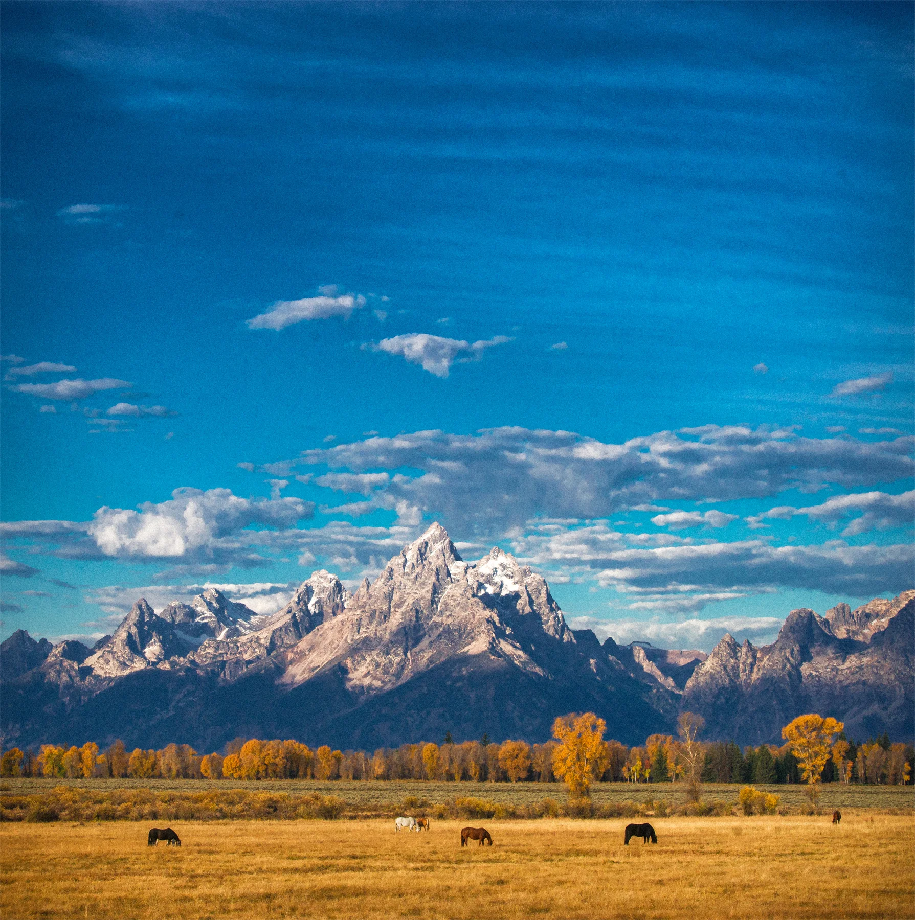 Grand Teton 7