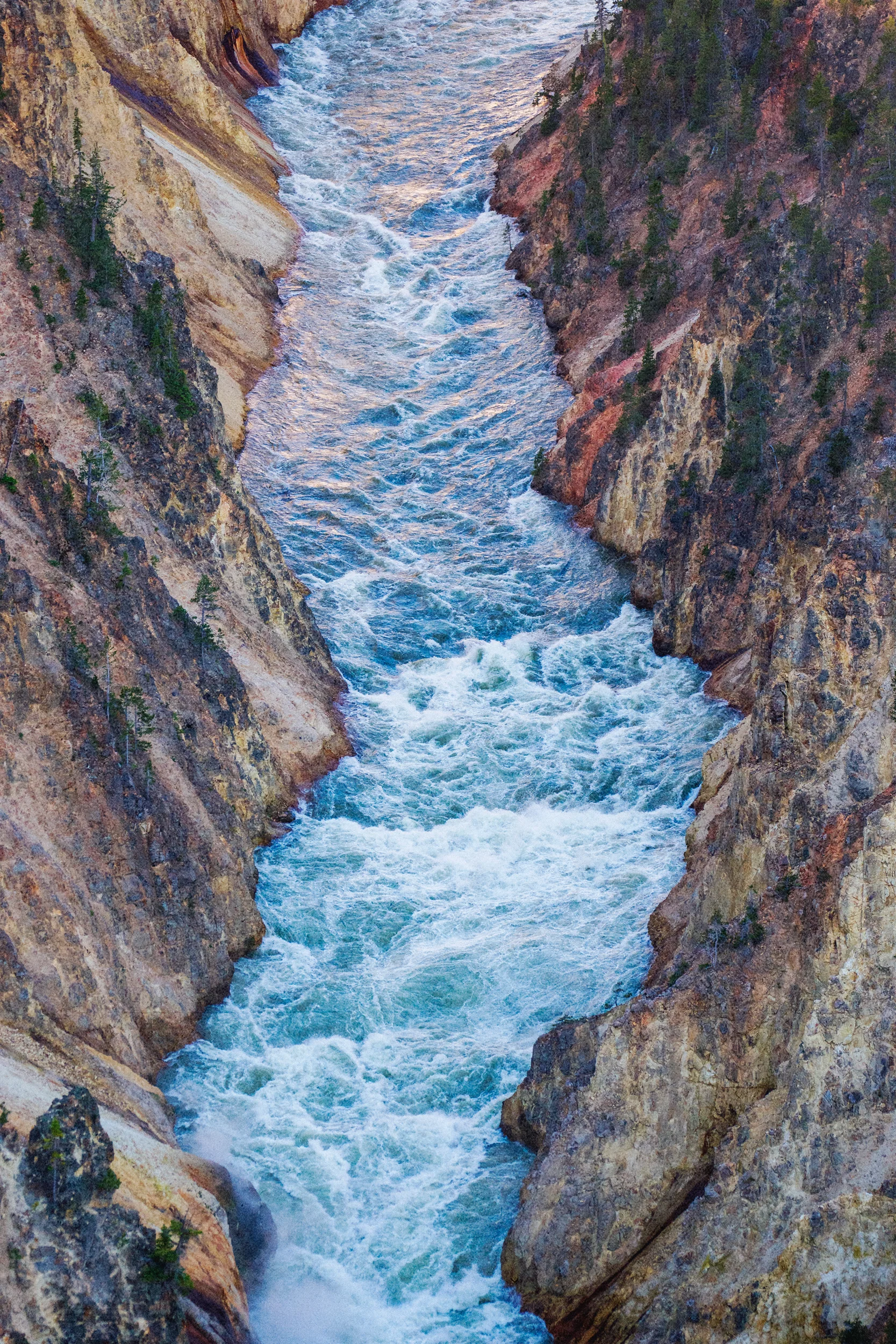 Yellowstone 4