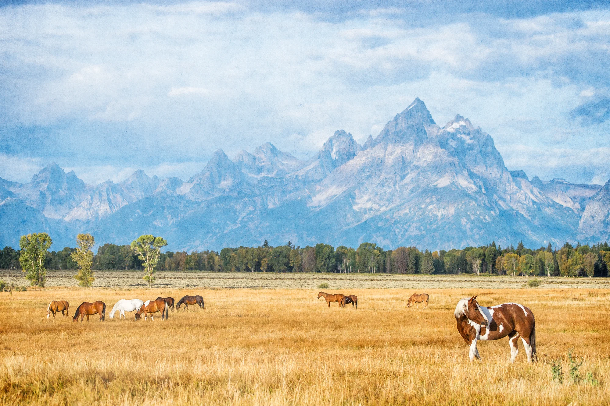 Grand Teton 13