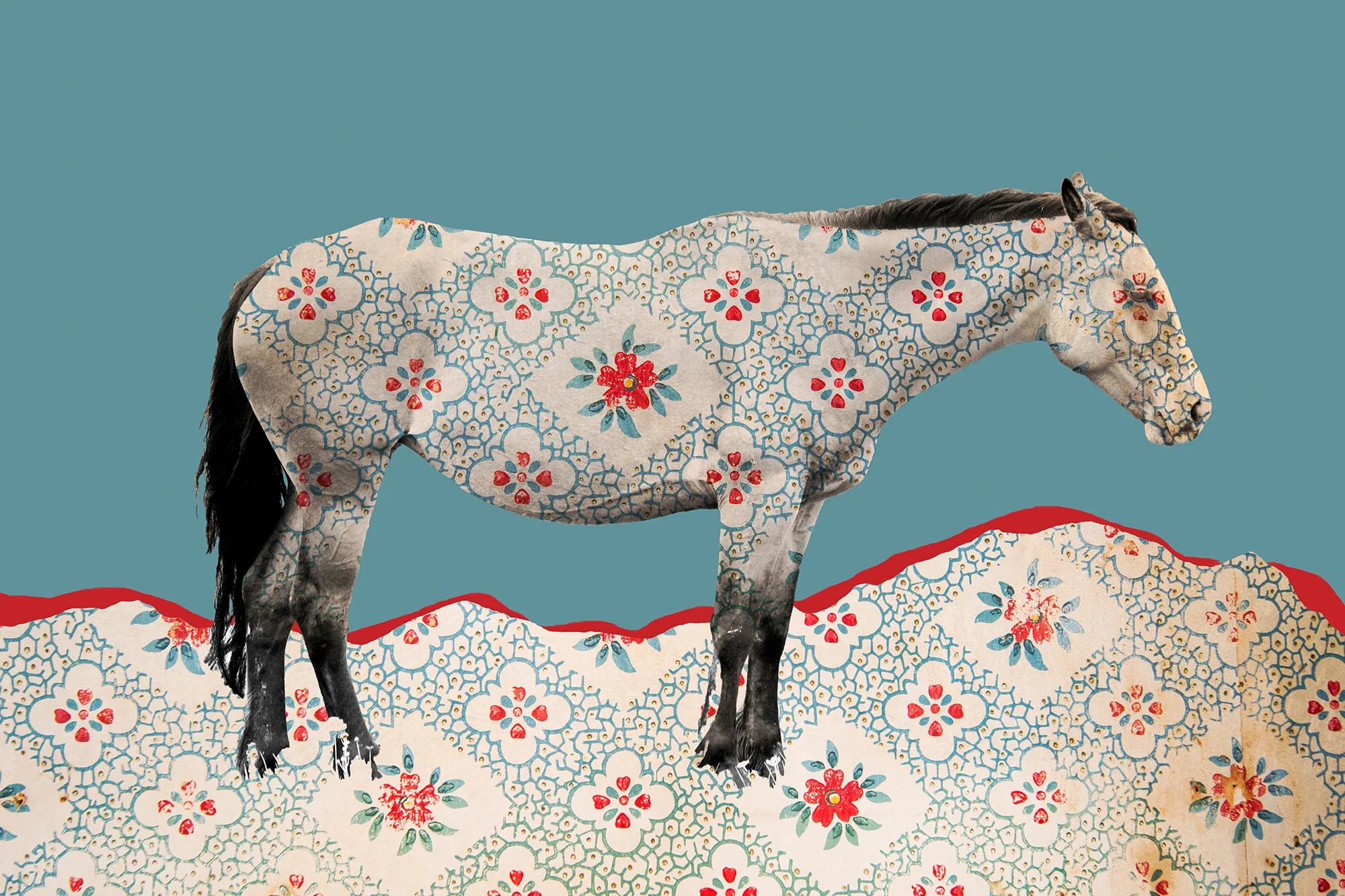 { Horse No. 16 } Pictured is a horse which was photographed in Southwest Montana on the edge of the Little Bighorn National Battlefield. The pattern laid over it is a photograph of wallpaper from an abandoned homestead on the Northern prairie of Montana.