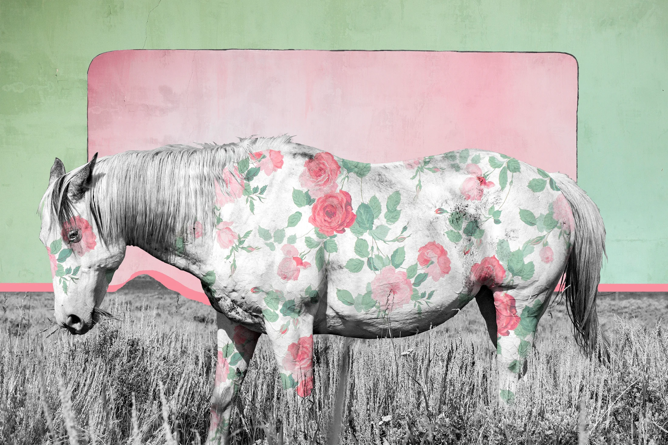 { Horse No. 21 } I photographed this horse on a Montana ranch near Yellowstone. The floral pattern is vintage wallpaper I photographed inside the S.R. Buford Store in the National Historic Landmark of Virginia City, Montana. The S.R. Buford was built in 1874 and was the town’s first brick building. The texture in the background is from plaster walls I photographed in the Hotel Meade, originally the county courthouse, built in 1875 in the ghost town of Bannack, Montana.