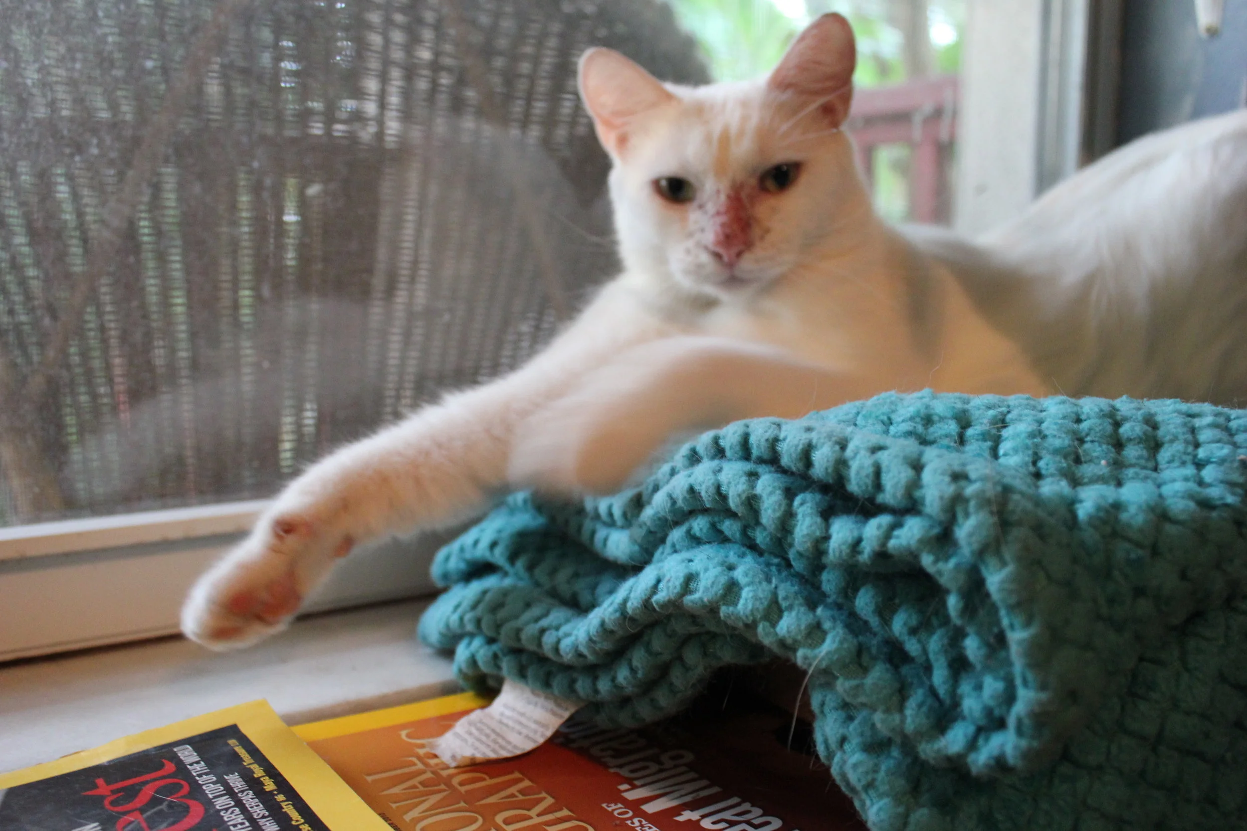 Creatures in the Sun