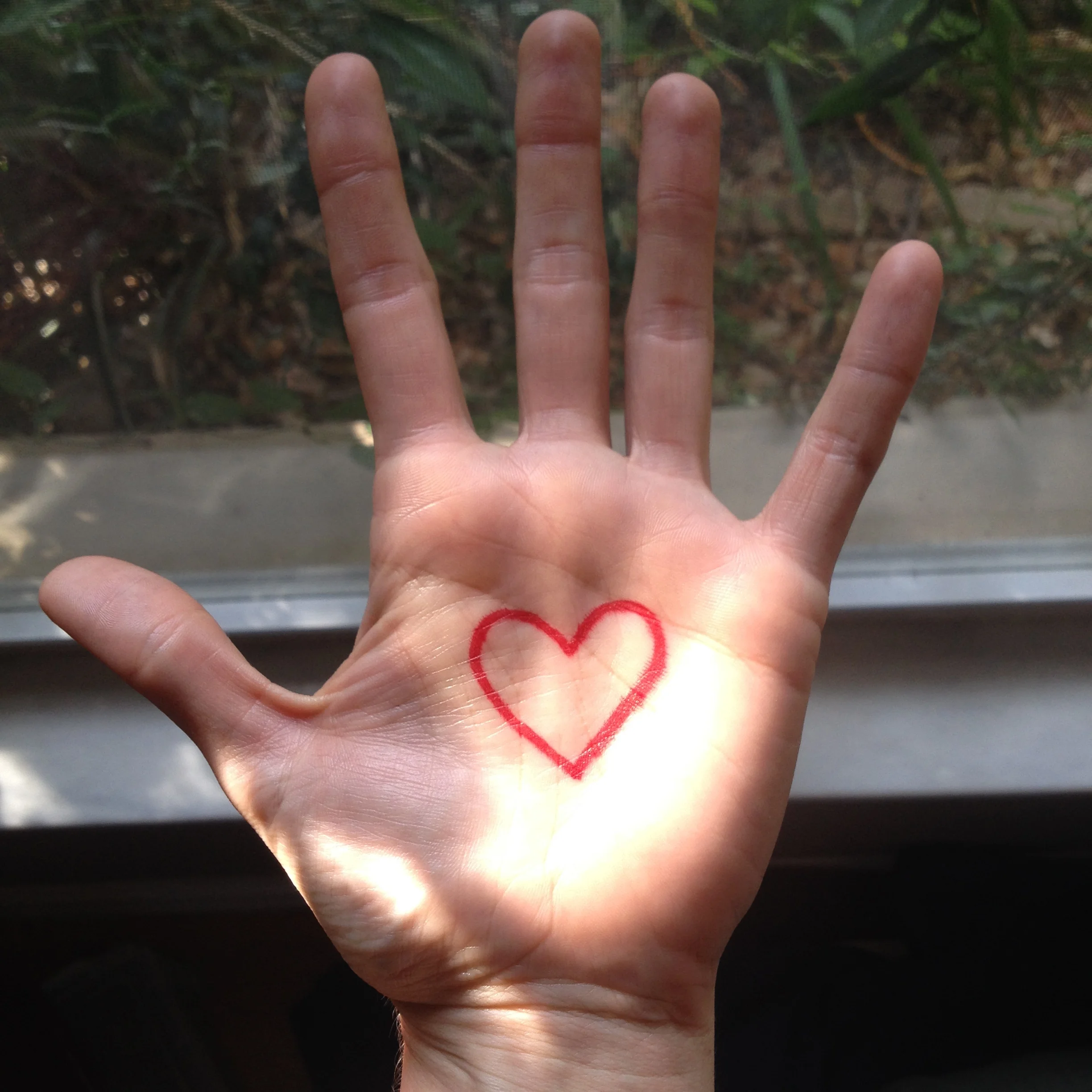 heart_hand.JPG