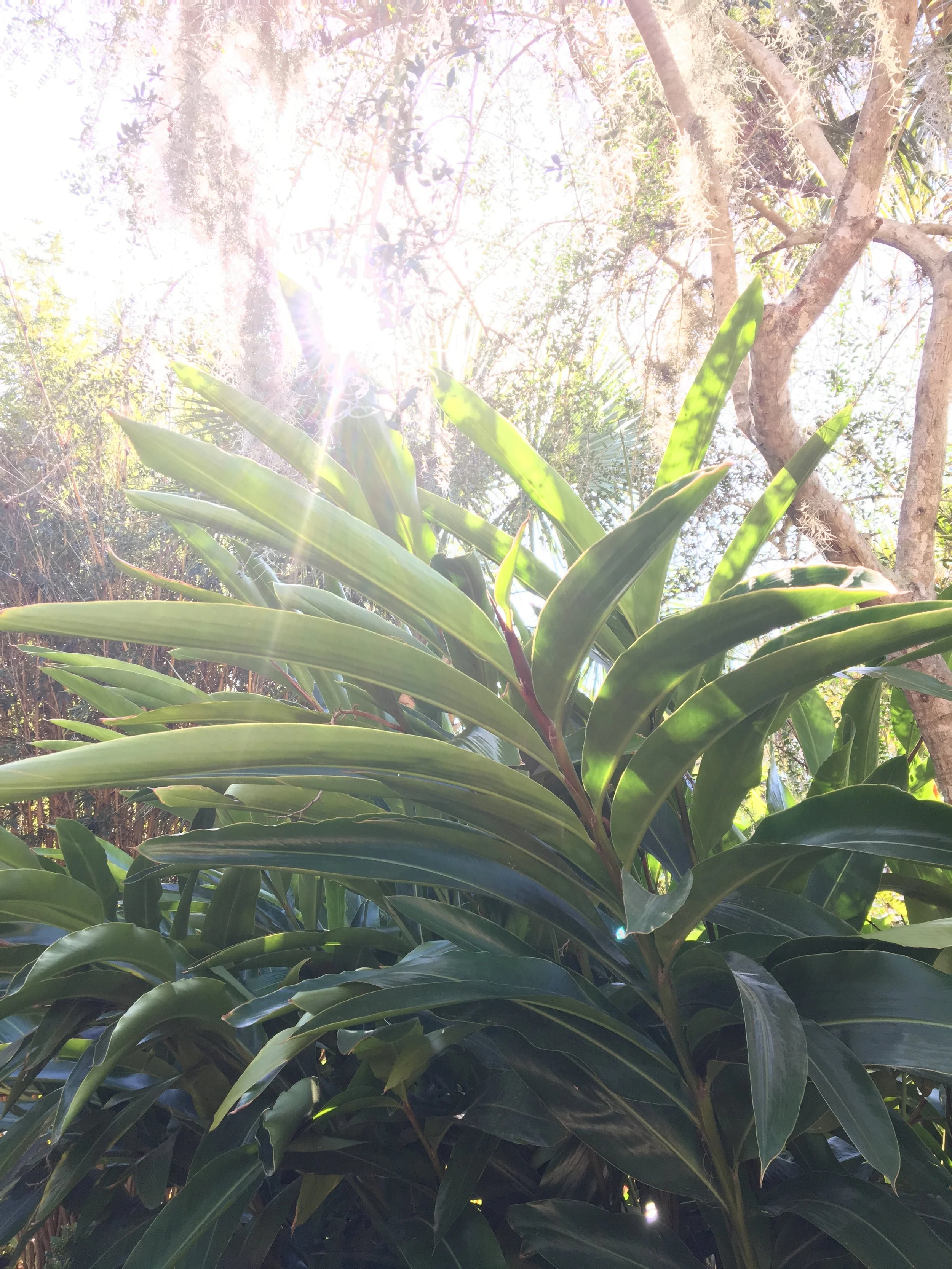 How to Make Peace with Social Media