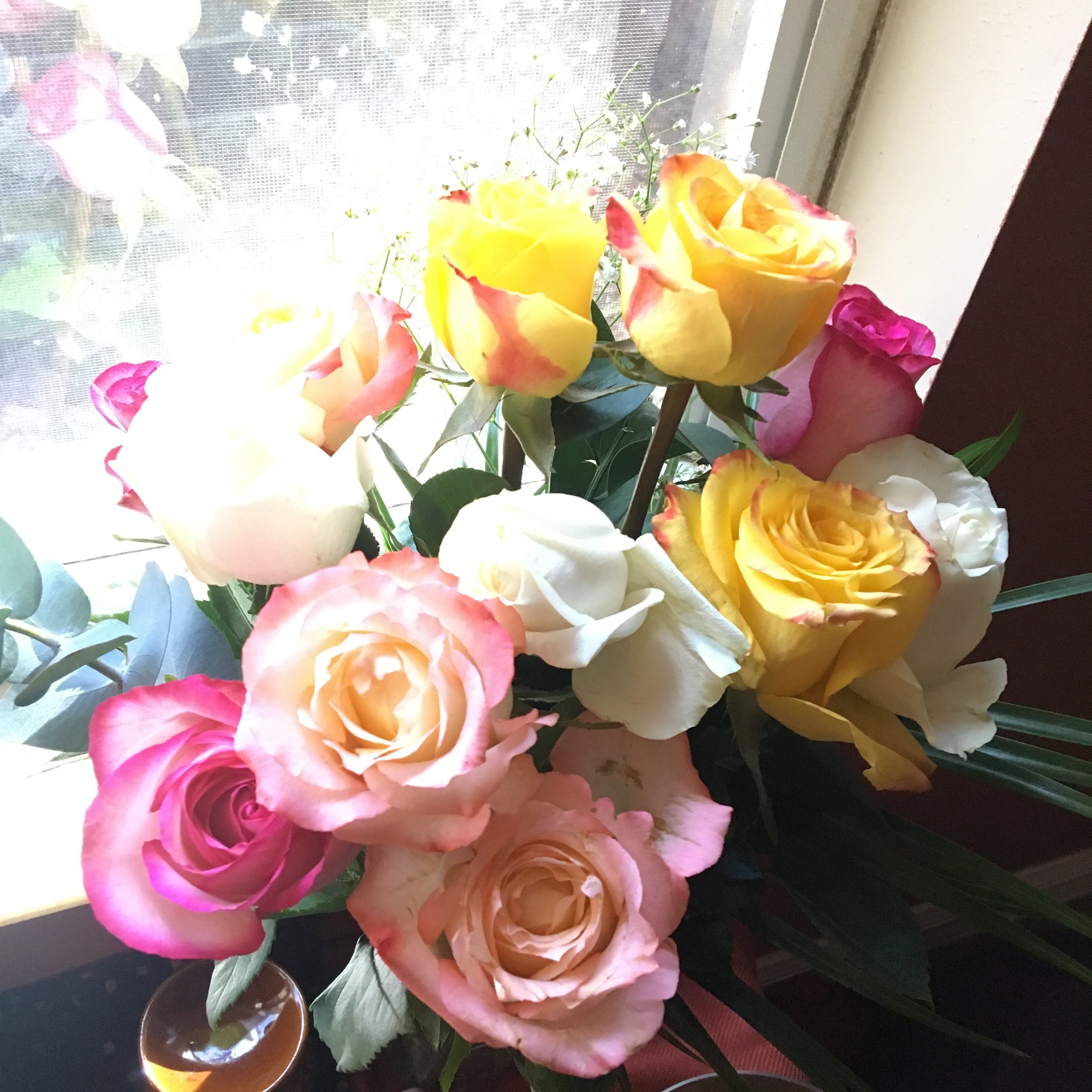 101 Days of Gratitude 2019