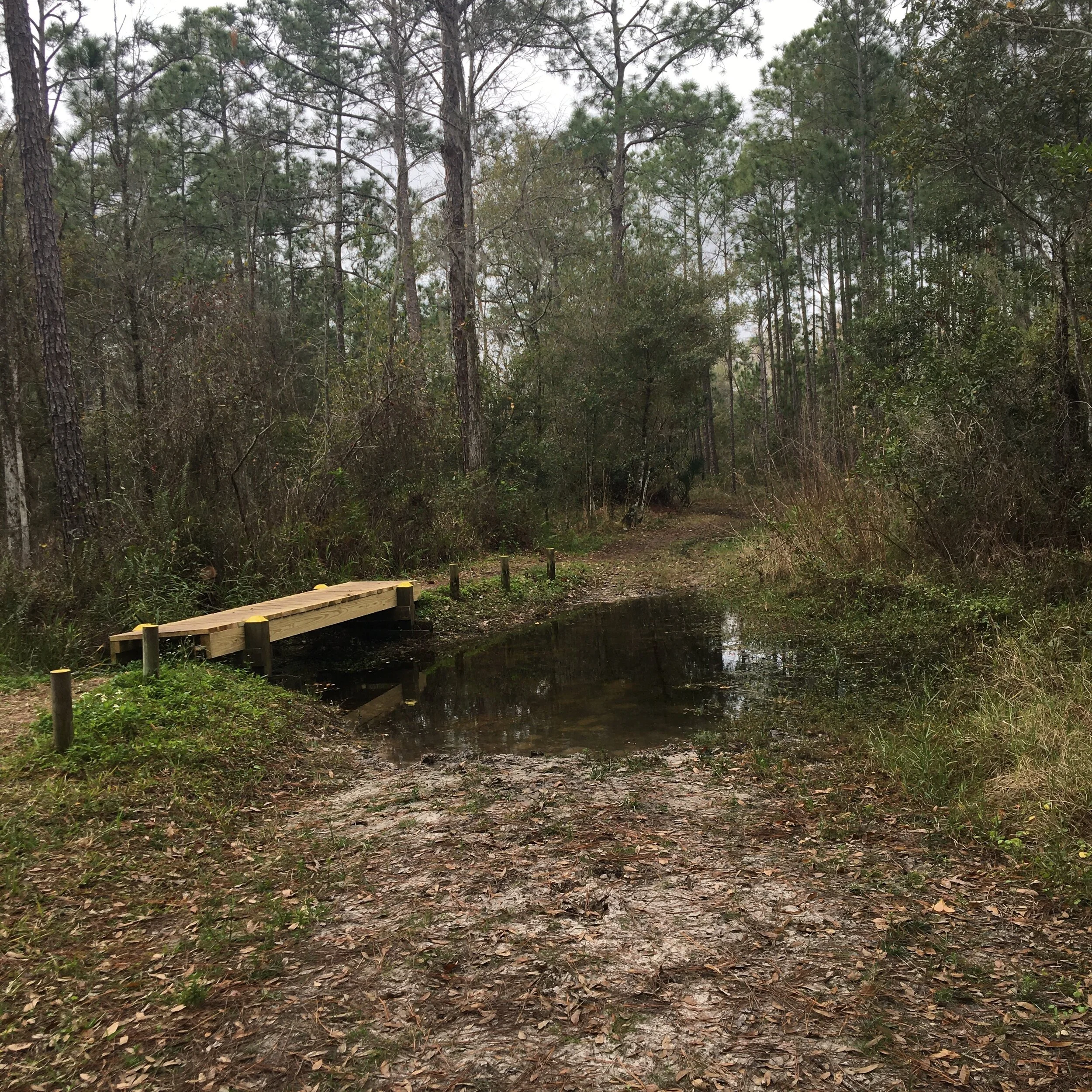 Drano for my Poetry Pipes